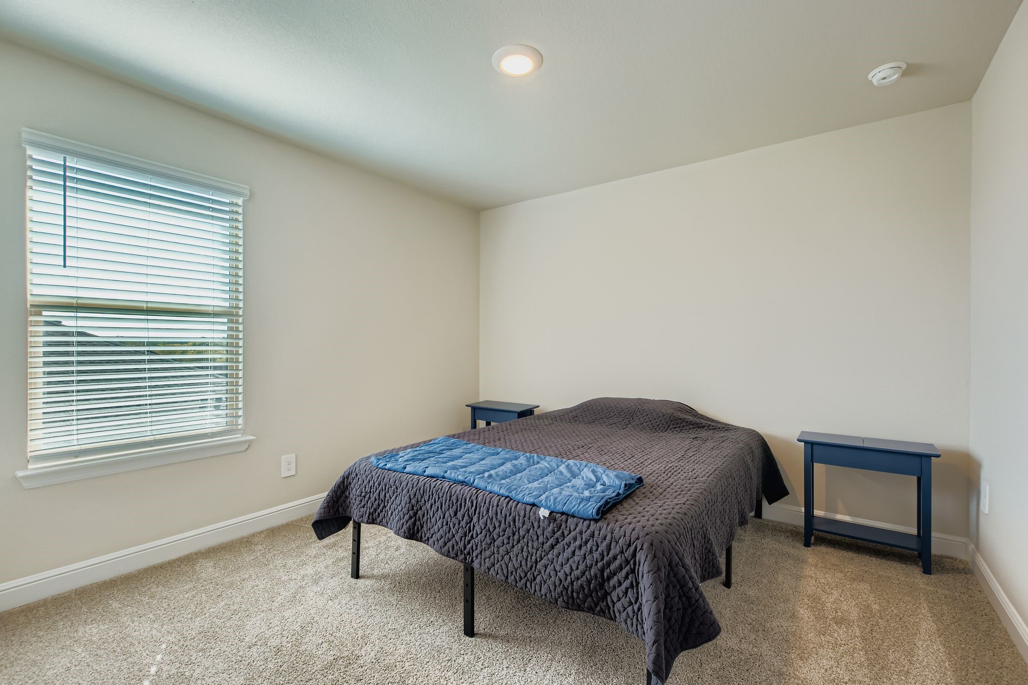 1309 Vintage Drive Cedar Hill TX 75104