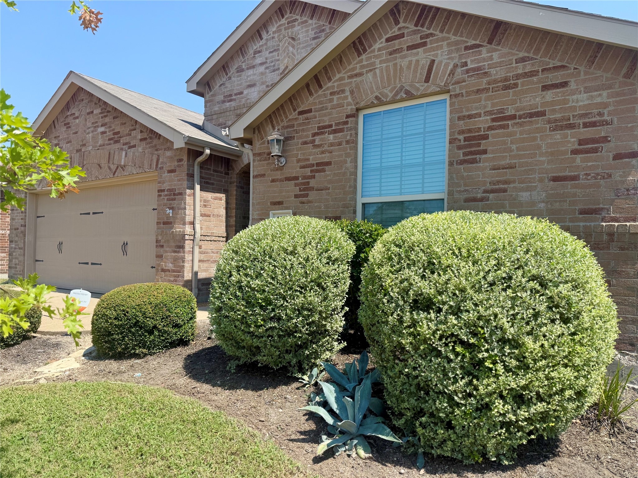 1131 Grimes Drive Forney TX 75126