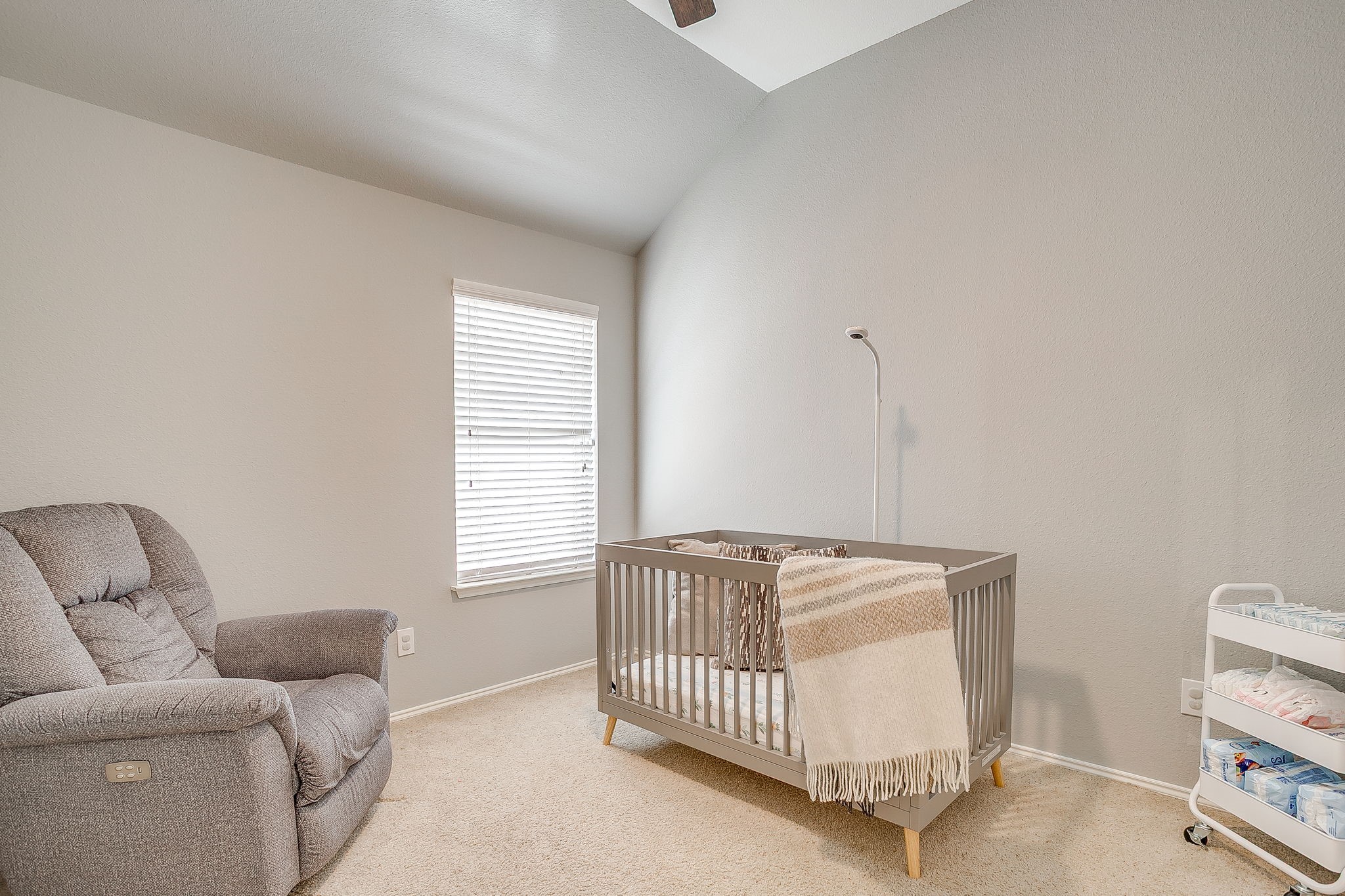 3917 Foreland Drive Fort Worth TX 76262