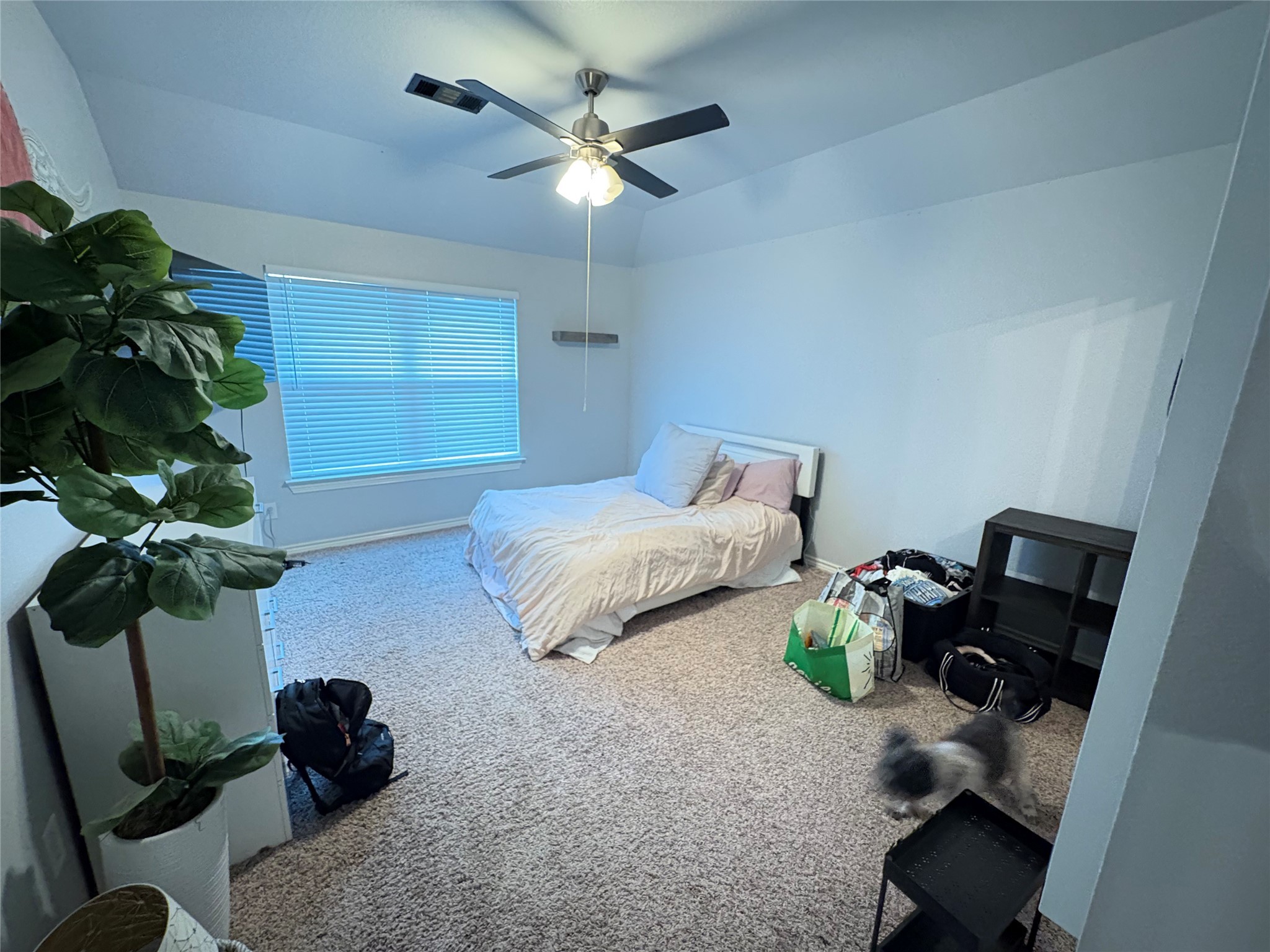 3308 Count Drive Fort Worth TX 76244