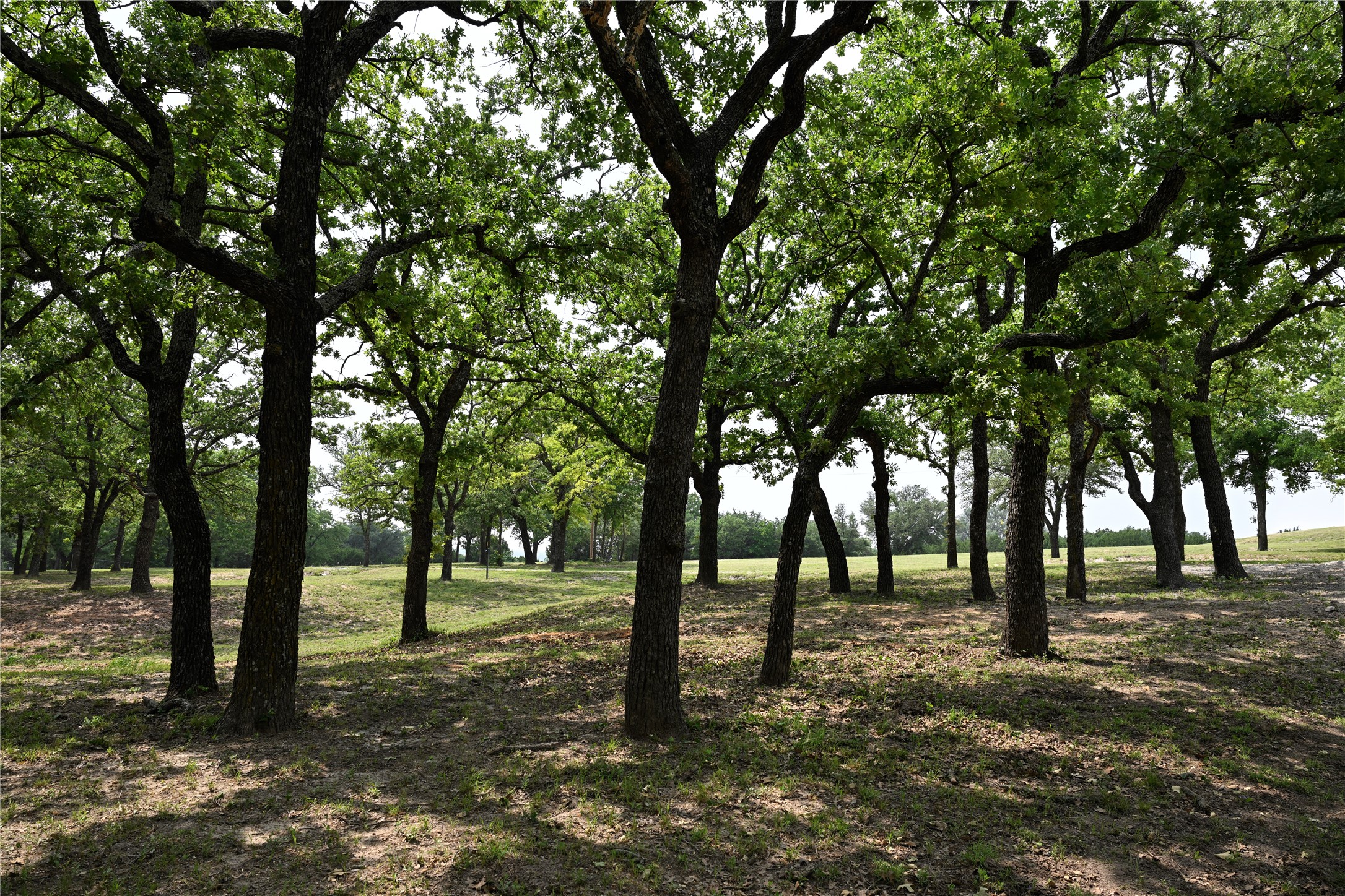 550 Manley Lane Weatherford TX 76088