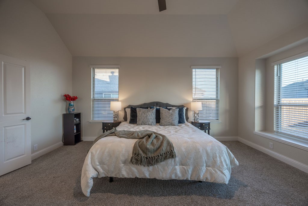 4437 Lupine Estate Drive Joshua TX 76058