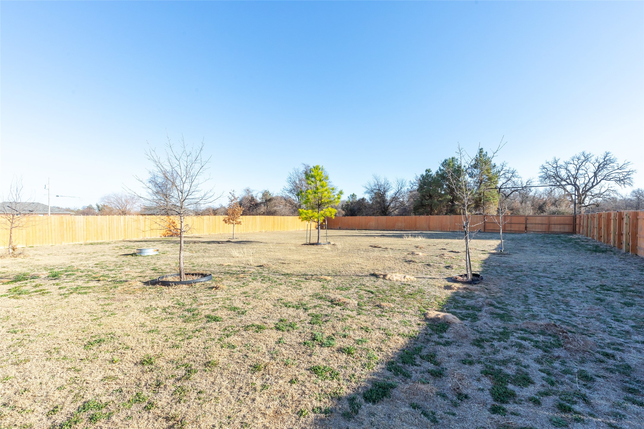103 Bulldog Lane Clyde TX 79510