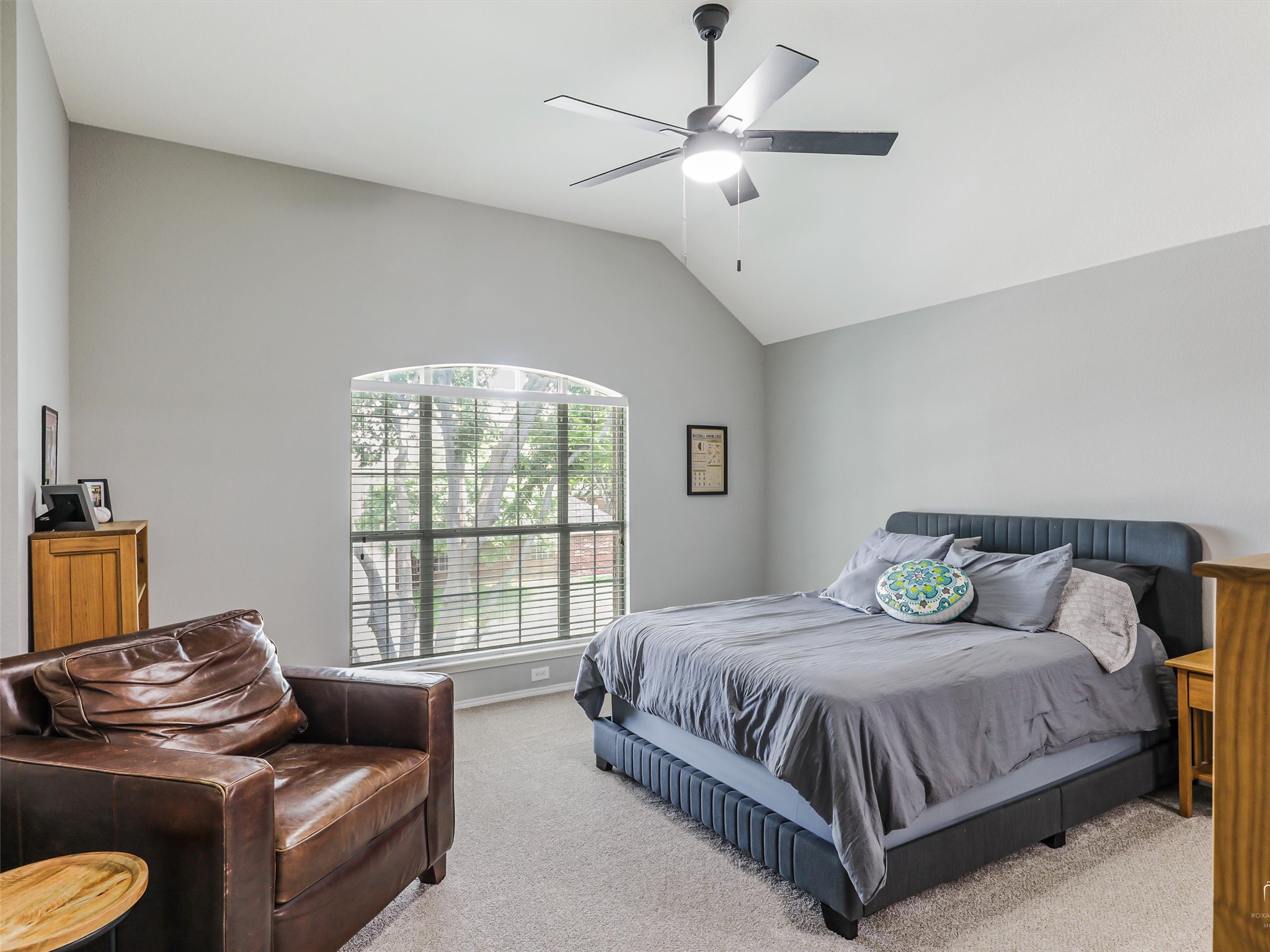 8653 Shakespeare Lane Frisco TX 75036
