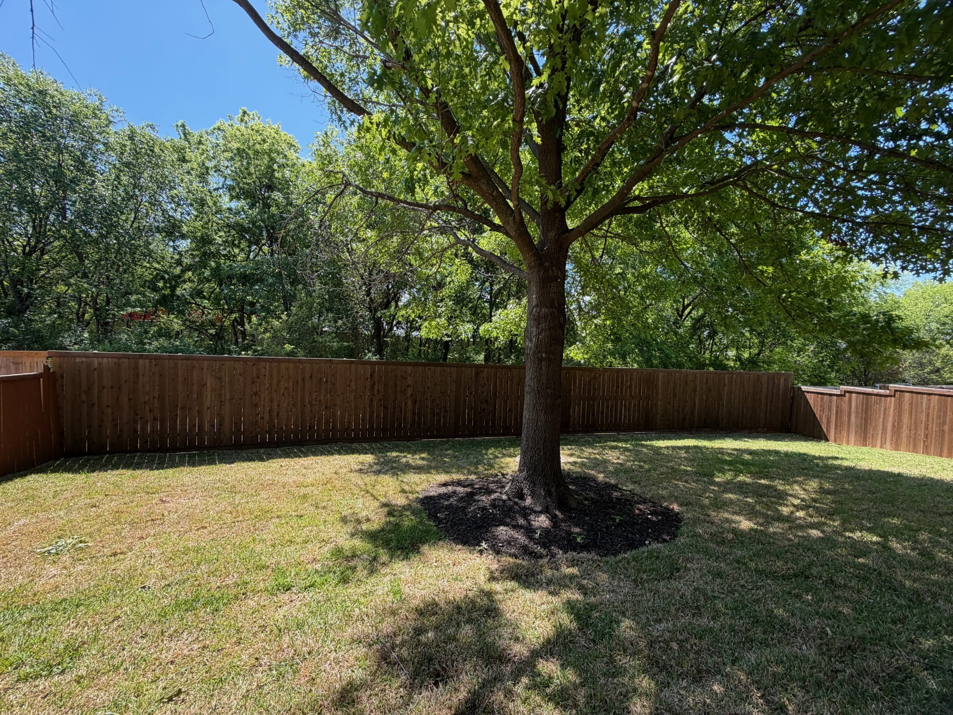 8625 Luzerne Drive Mckinney TX 75072