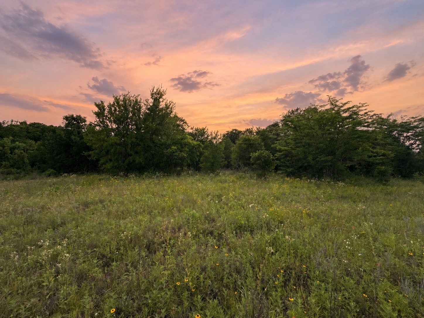 316 County Road 458 De Leon TX 76444