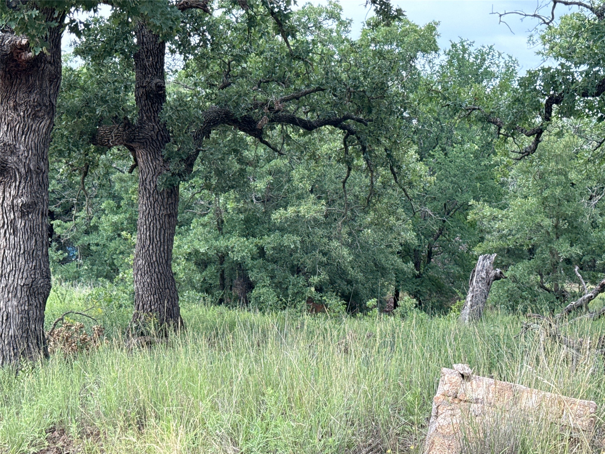 316 County Road 458 De Leon TX 76444