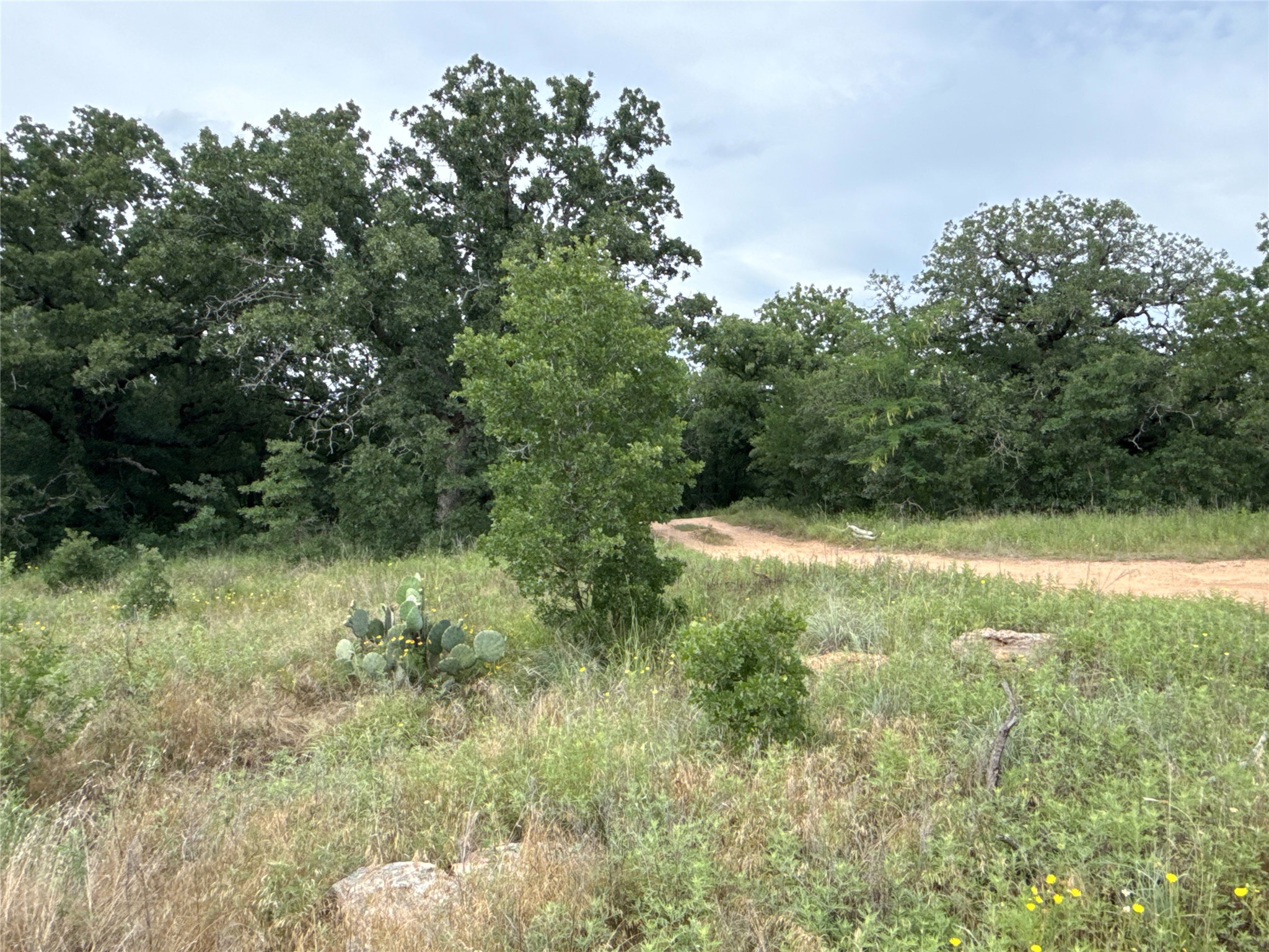 316 County Road 458 De Leon TX 76444