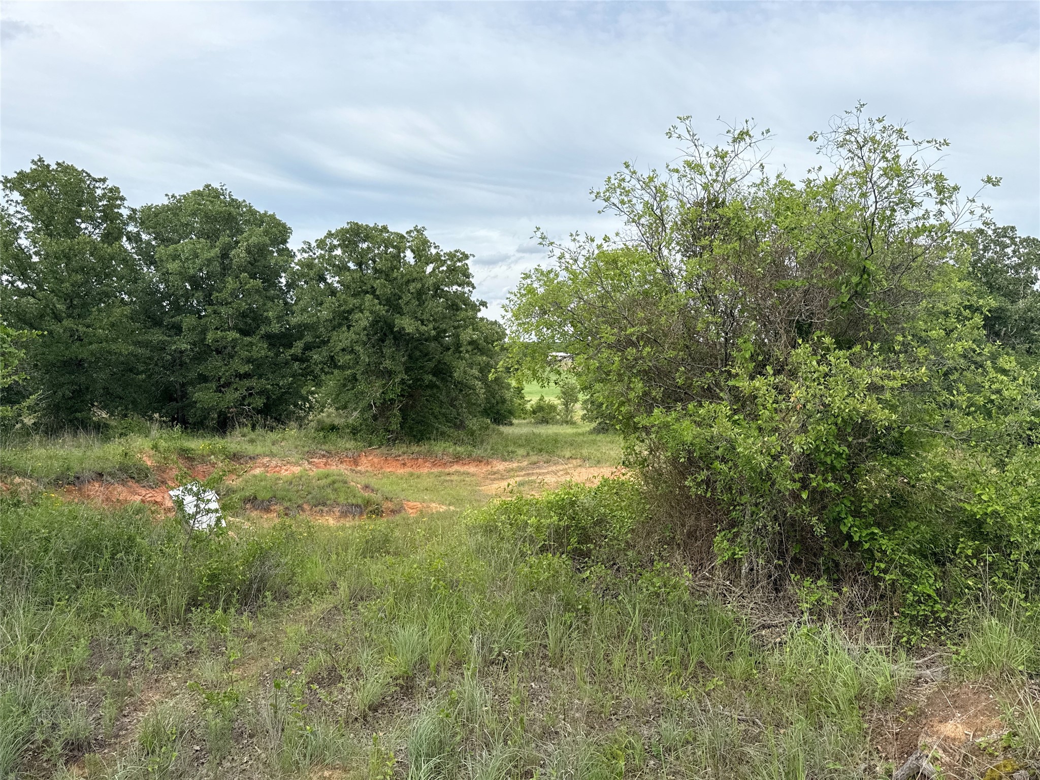 316 County Road 458 De Leon TX 76444