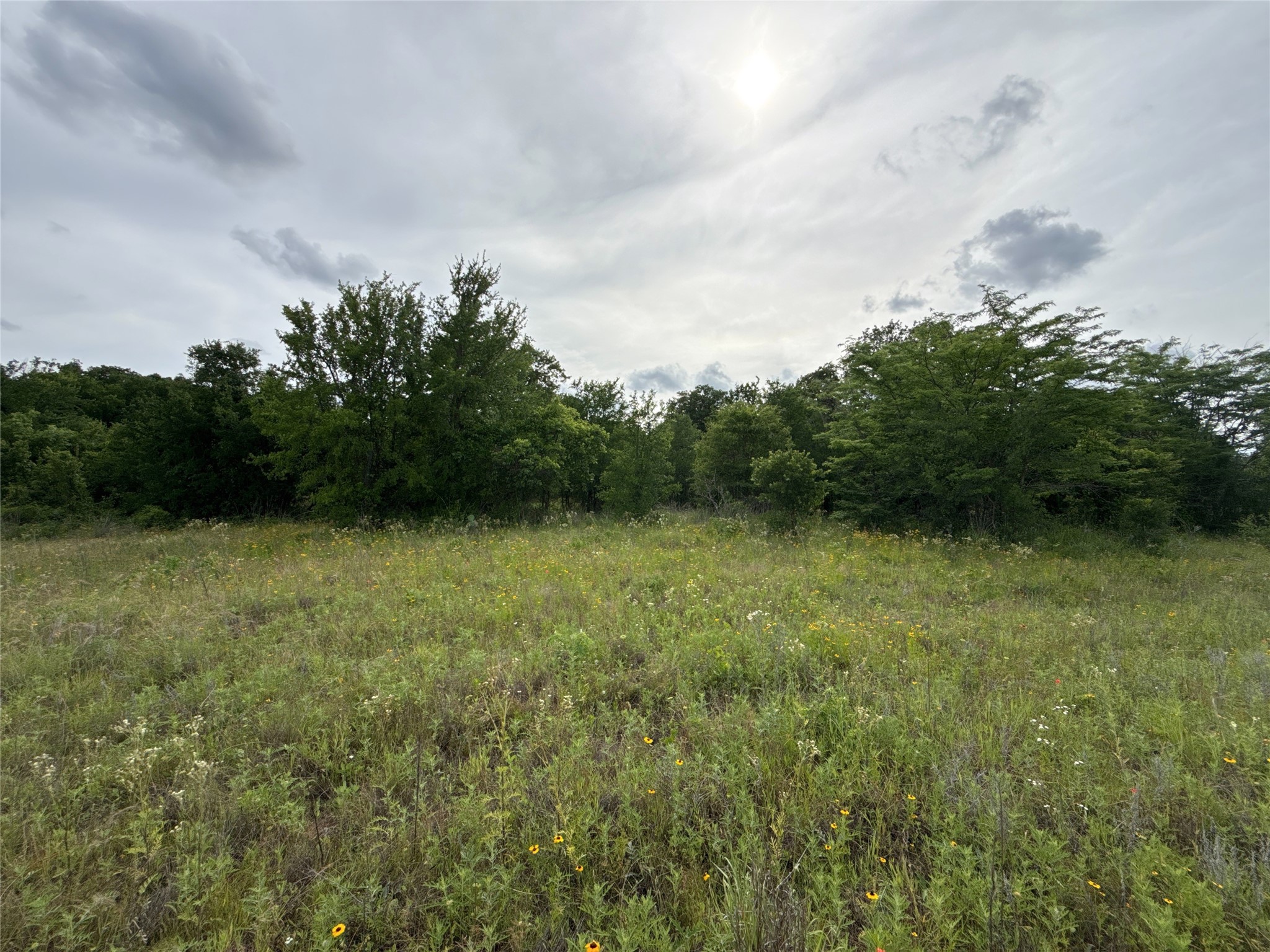 316 County Road 458 De Leon TX 76444