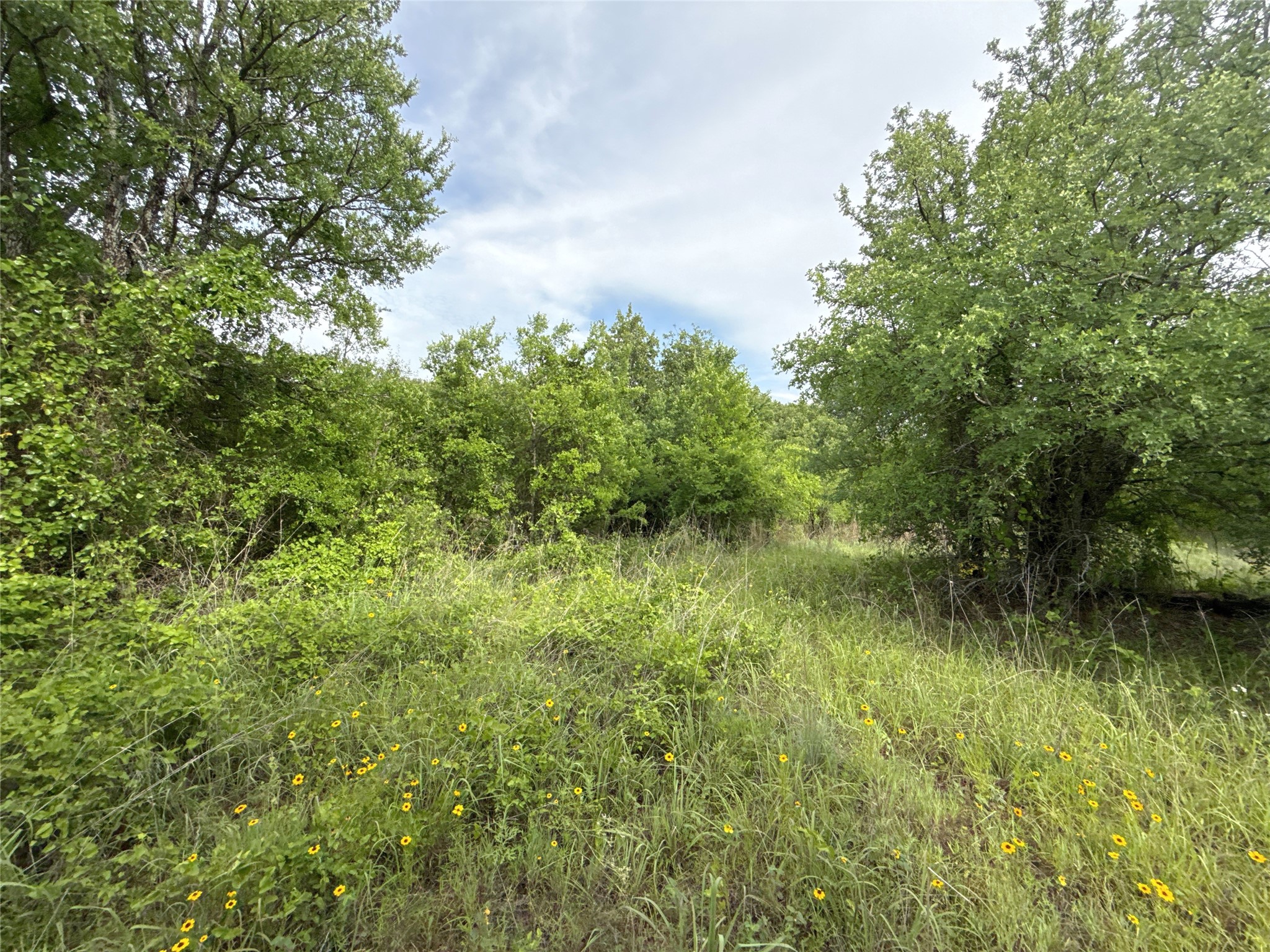 316 County Road 458 De Leon TX 76444