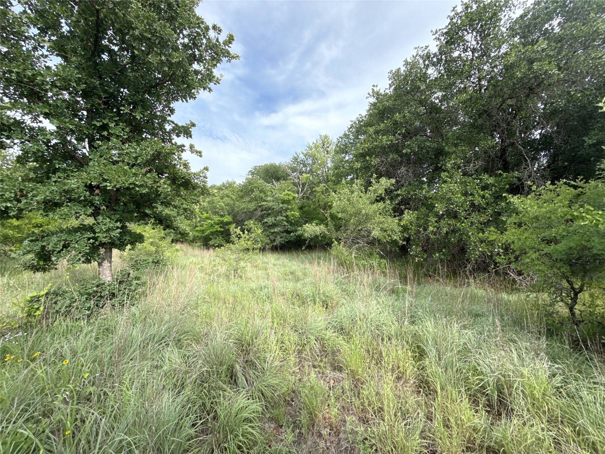 316 County Road 458 De Leon TX 76444