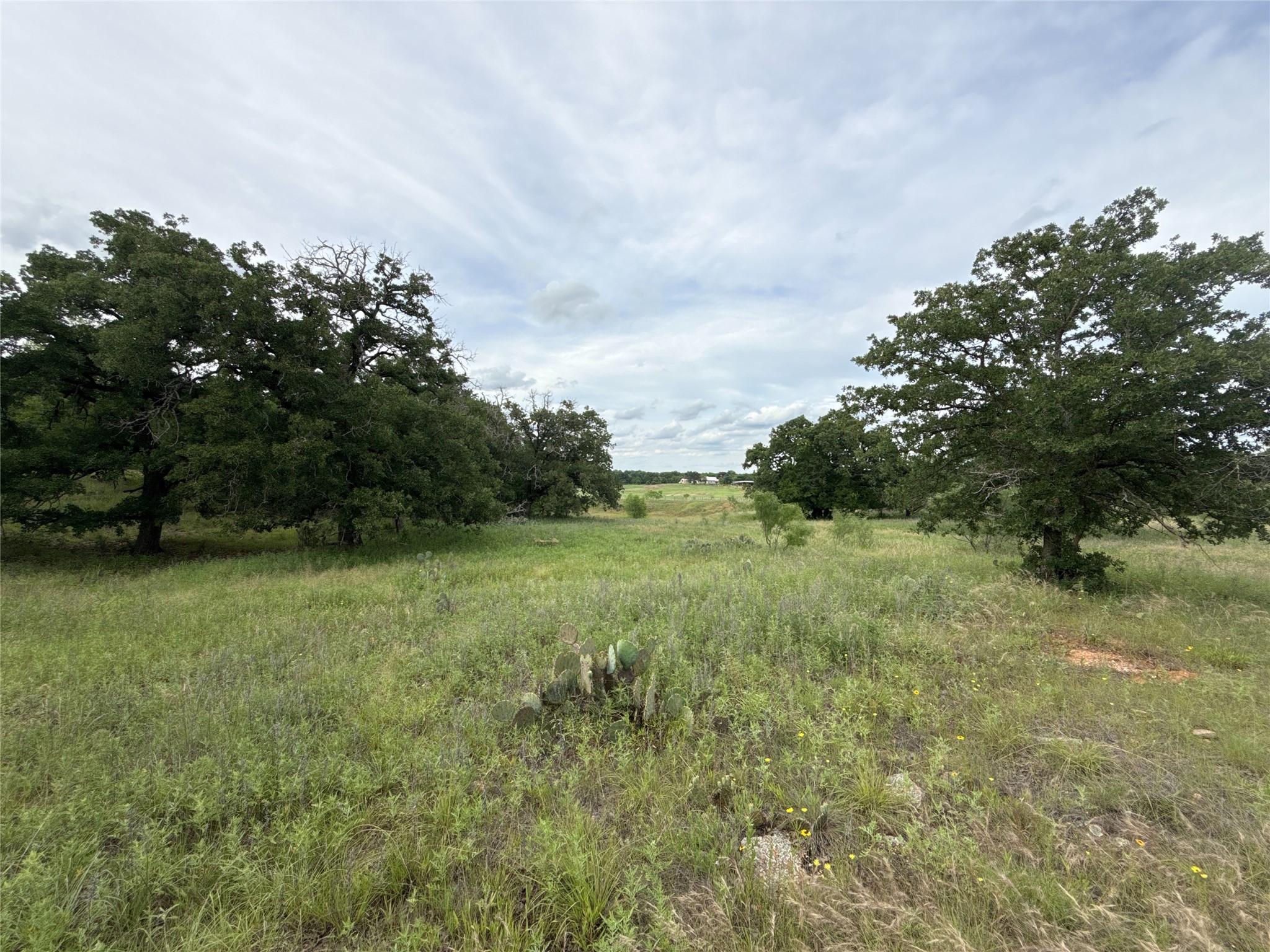 316 County Road 458 De Leon TX 76444