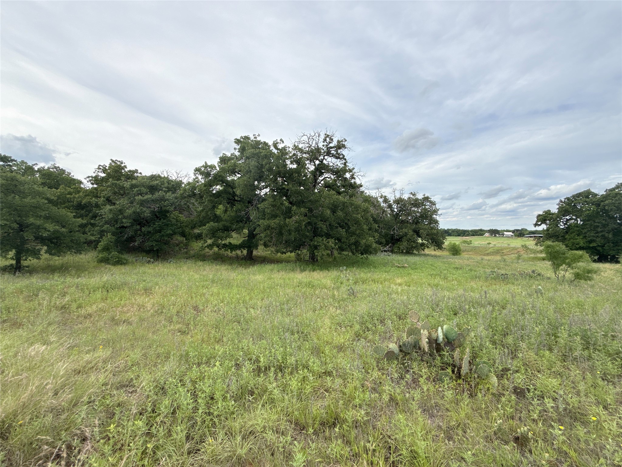 316 County Road 458 De Leon TX 76444