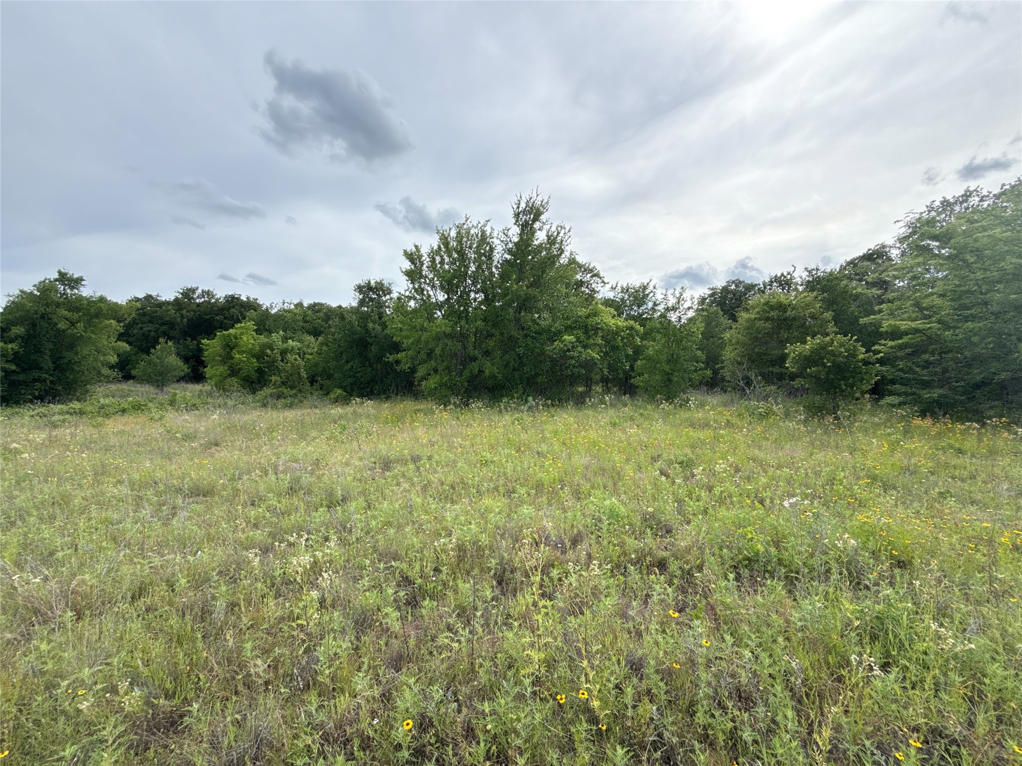 316 County Road 458 De Leon TX 76444