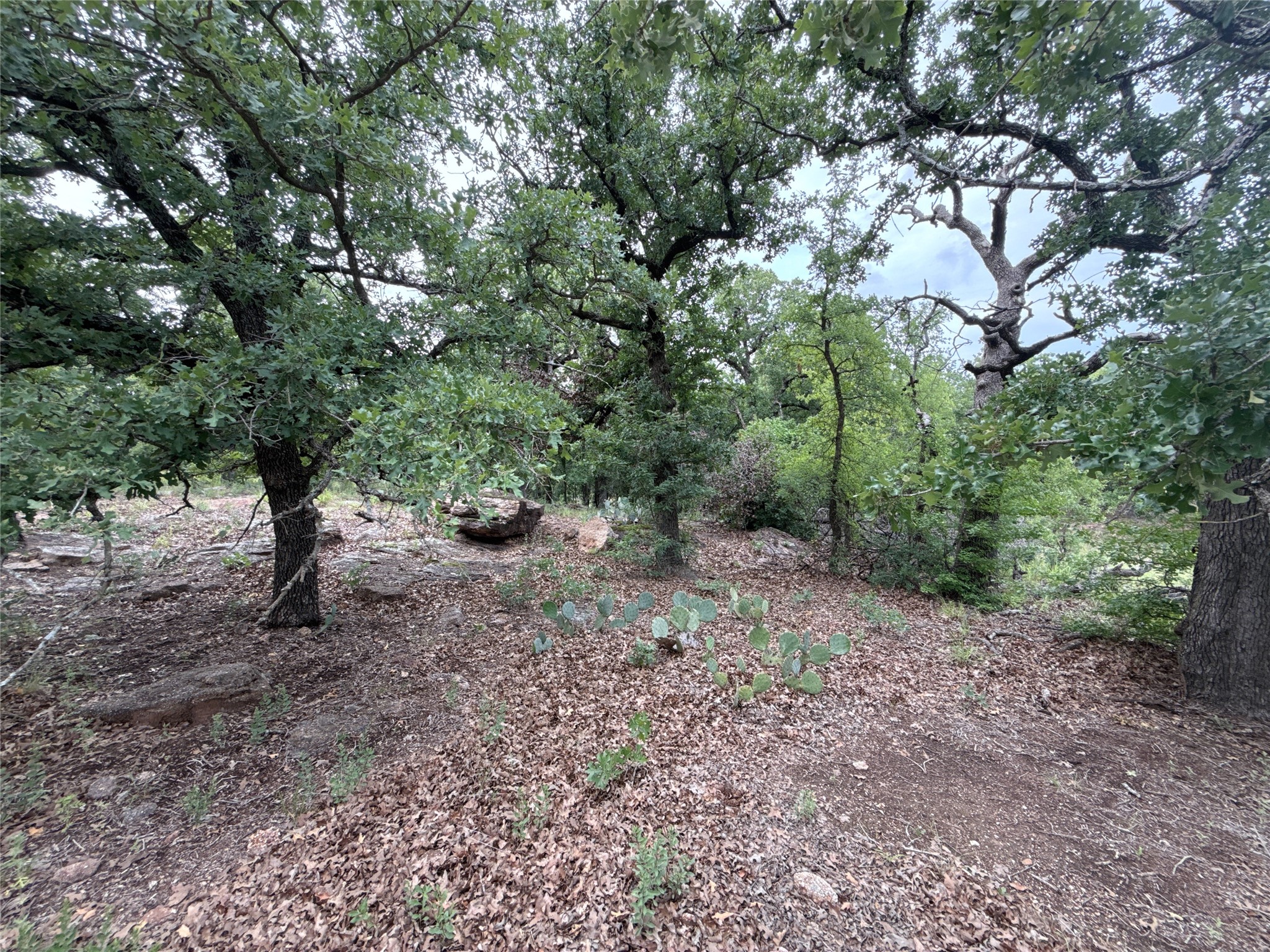 316 County Road 458 De Leon TX 76444