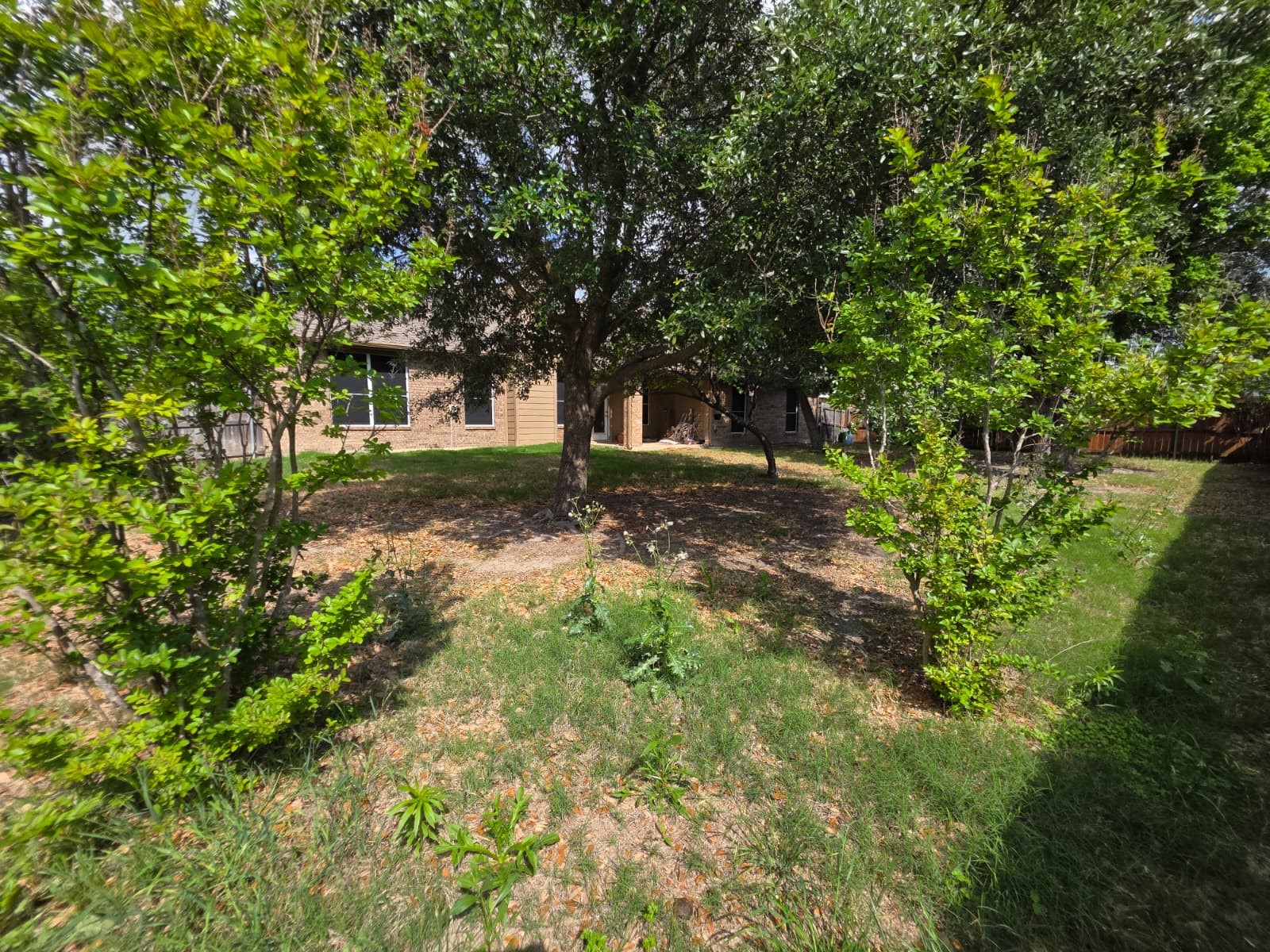313 Pinewood Trail Forney TX 75126
