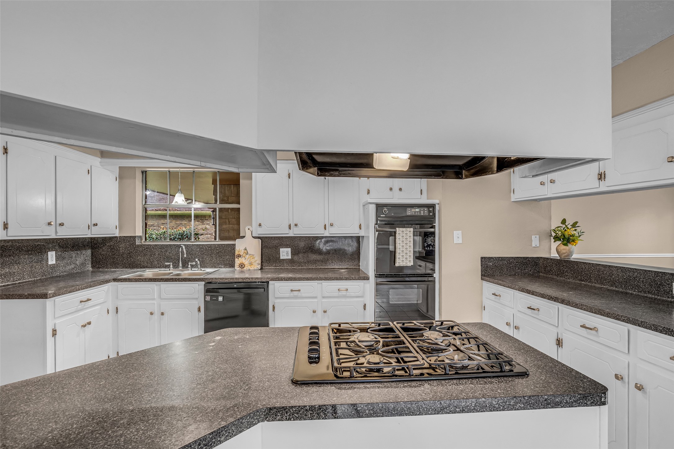 23351 Earlmist Drive Spring TX 77373