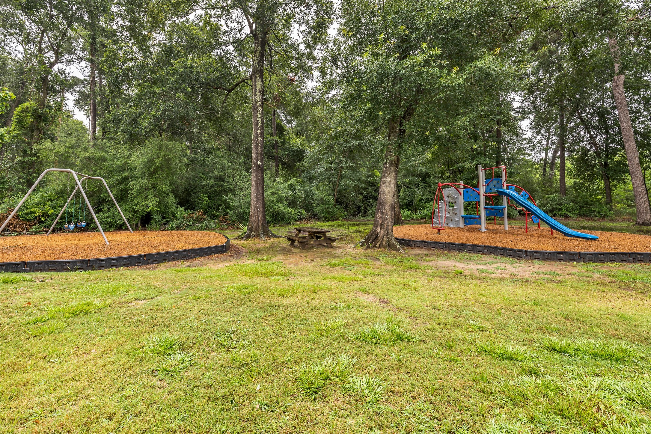 23351 Earlmist Drive Spring TX 77373
