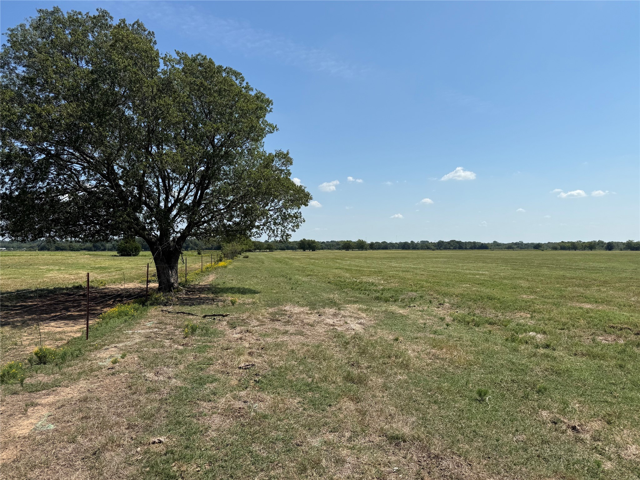 808 W Line Road Whitesboro TX 76273