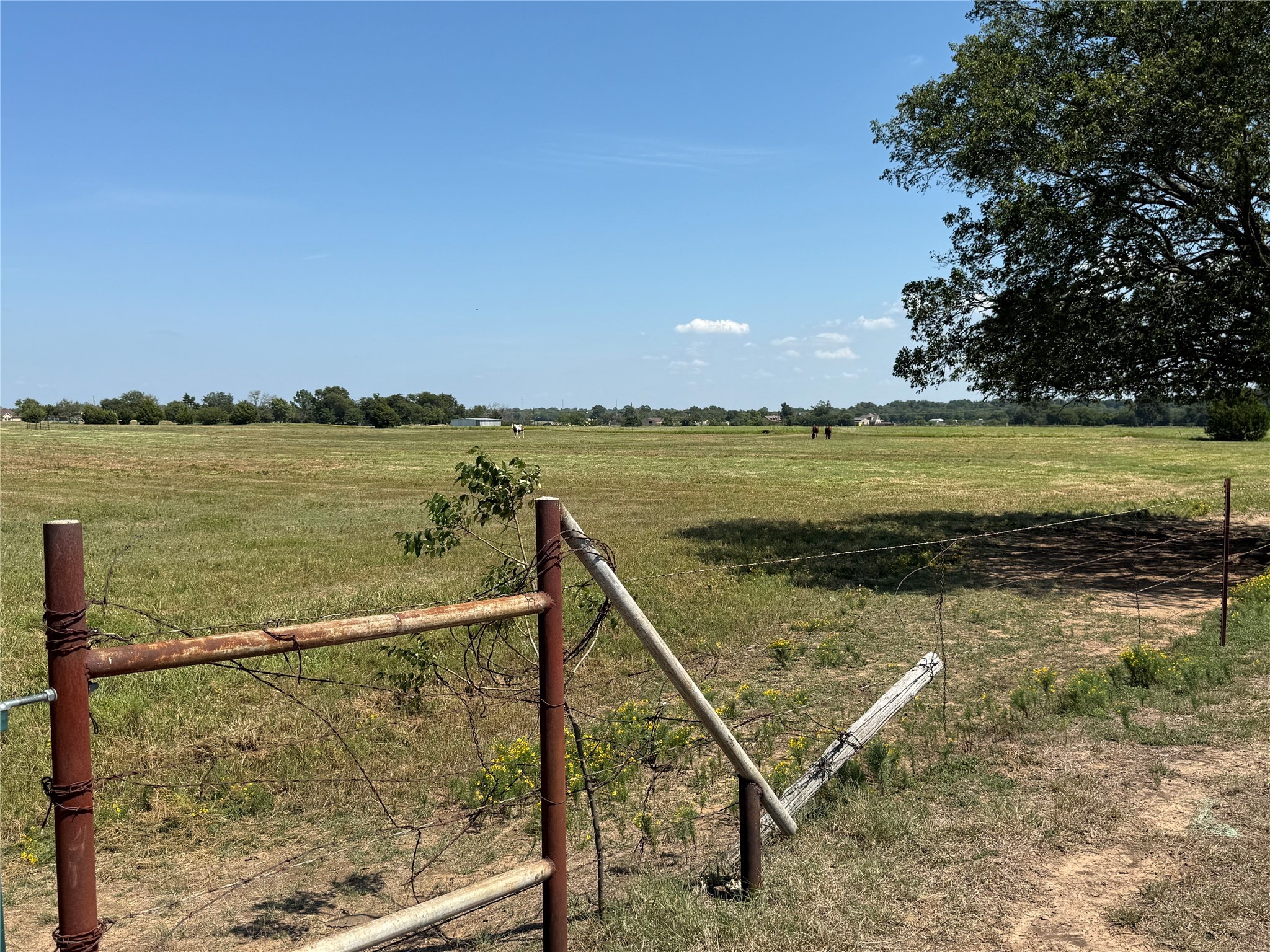 808 W Line Road Whitesboro TX 76273