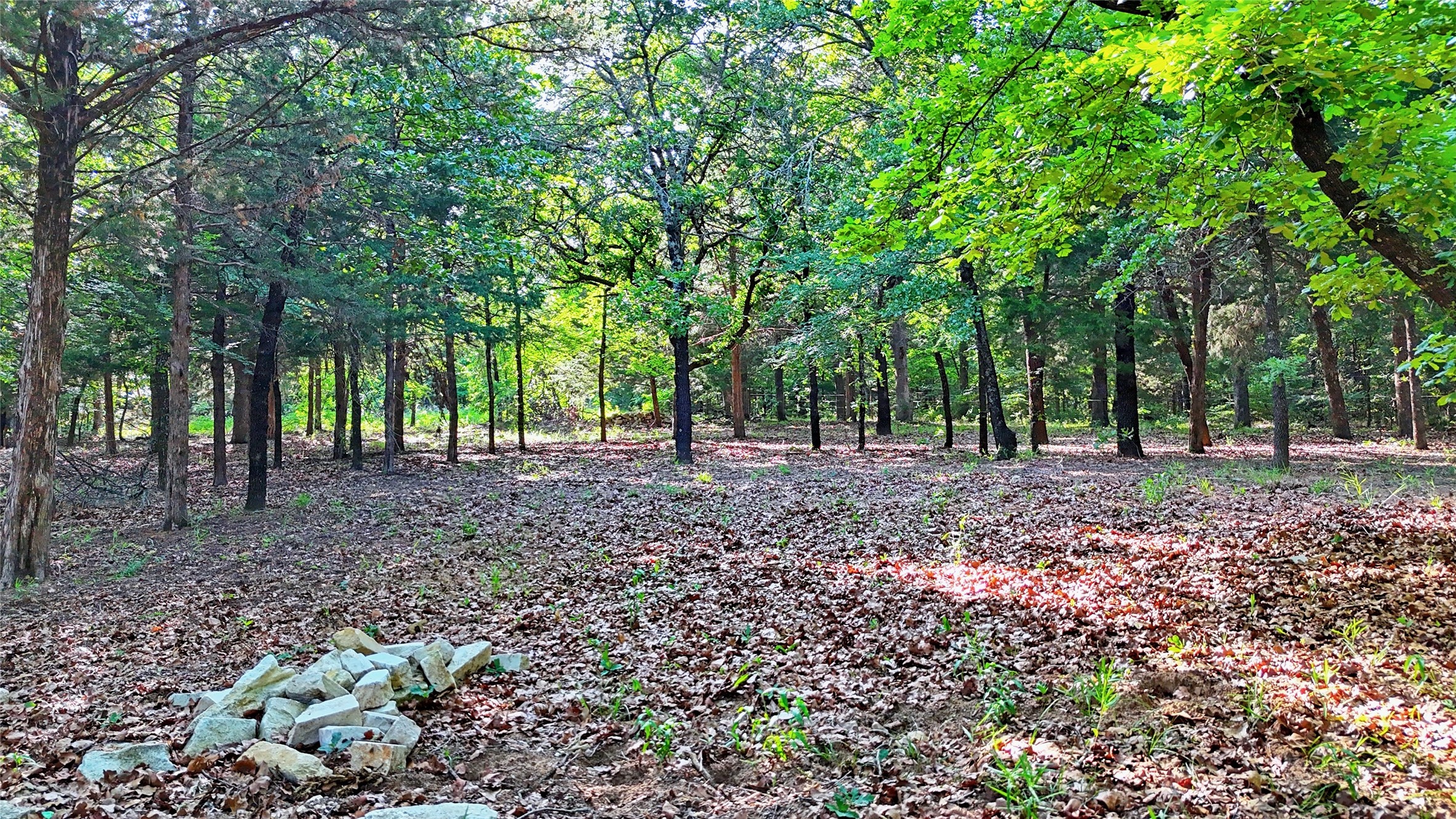 735 Sleepy Hollow Lane Valley View TX 76272