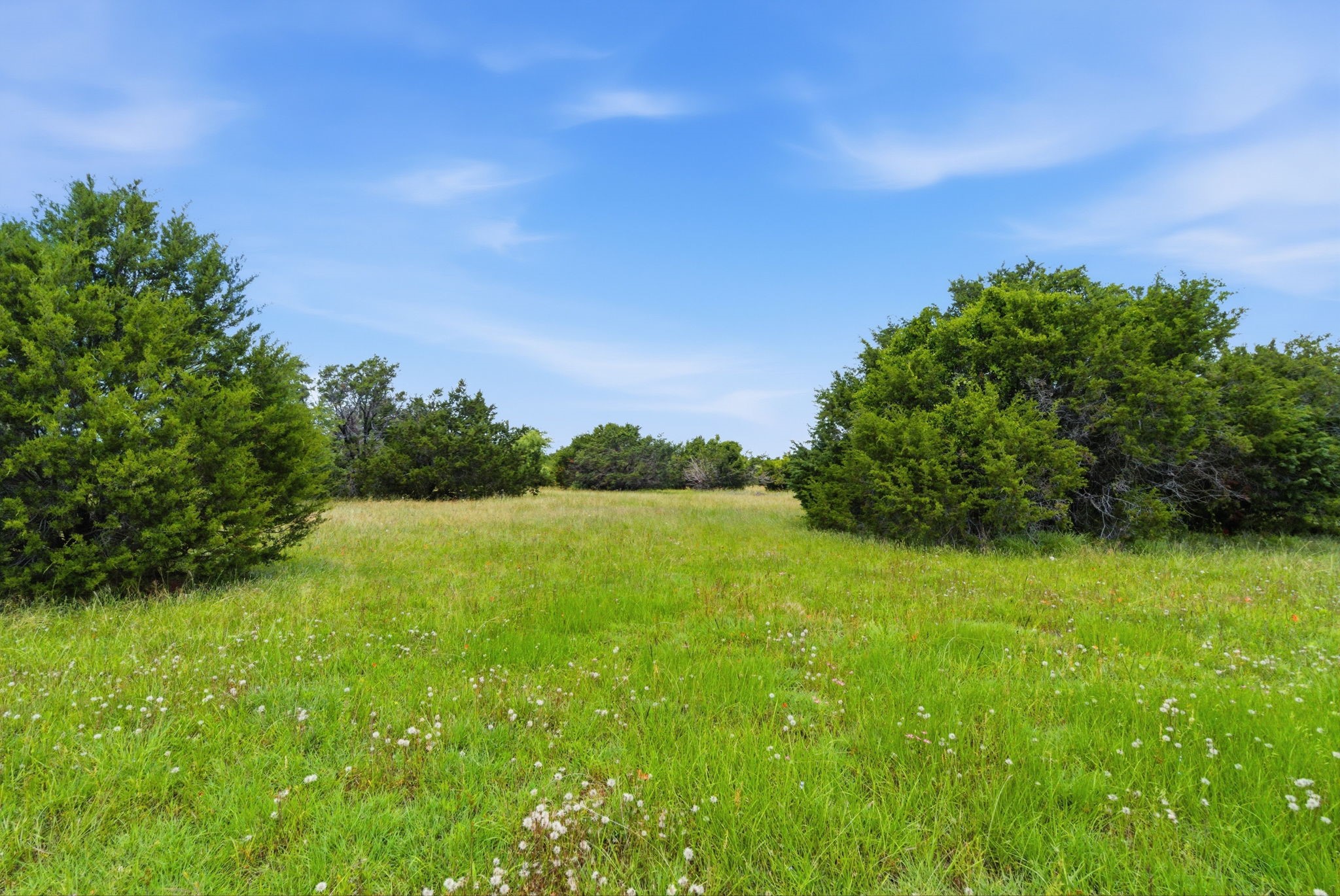 927 Prickly Pear Trail Gordon TX 76453