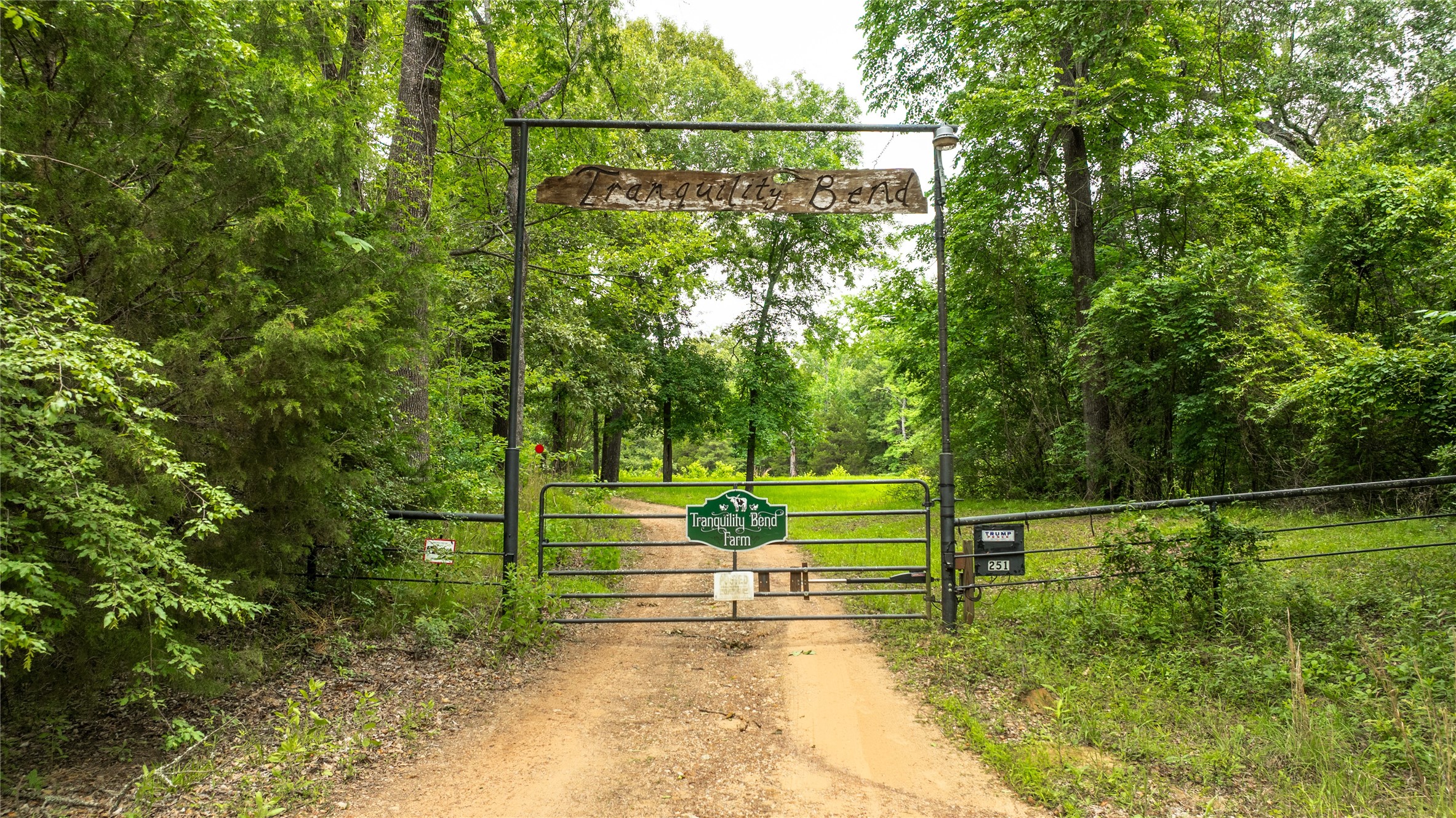 251 Private Road 8179 Ben Wheeler TX 75754