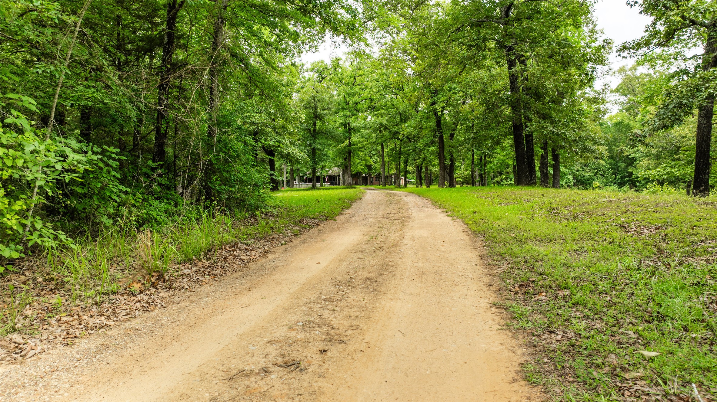 251 Private Road 8179 Ben Wheeler TX 75754