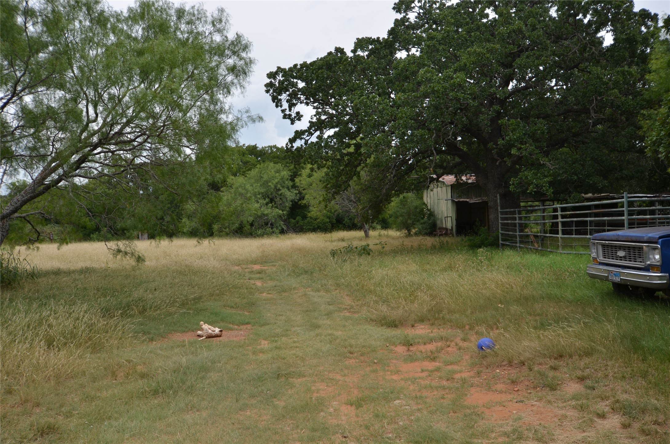 334 Cook Road Jacksboro TX 76458