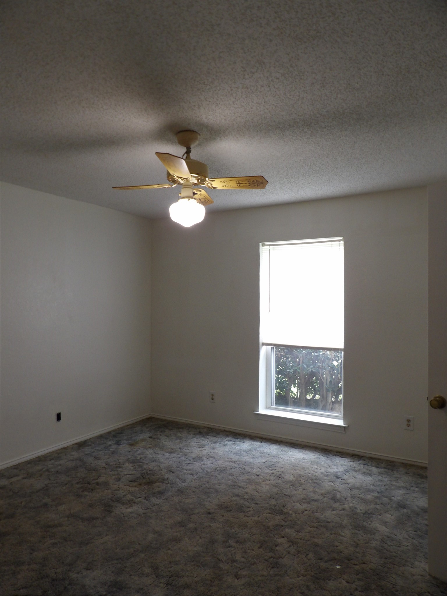 1169 Maree Drive Waxahachie TX 75165