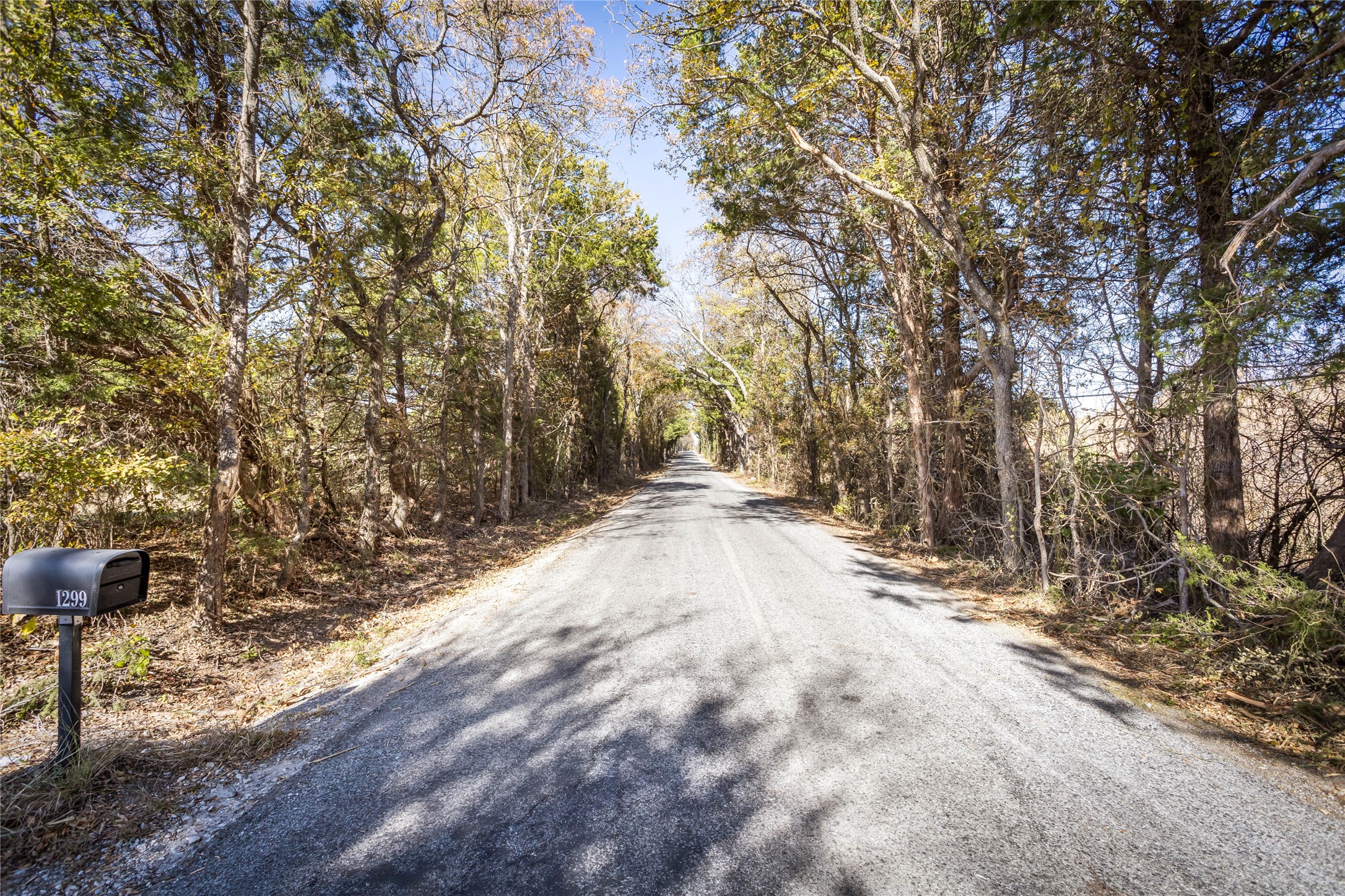 1299 Blackmon Road Van Alstyne TX 75495