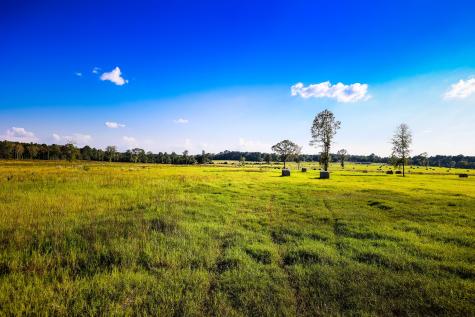 3280 N Fm 450 Hallsville TX 75650