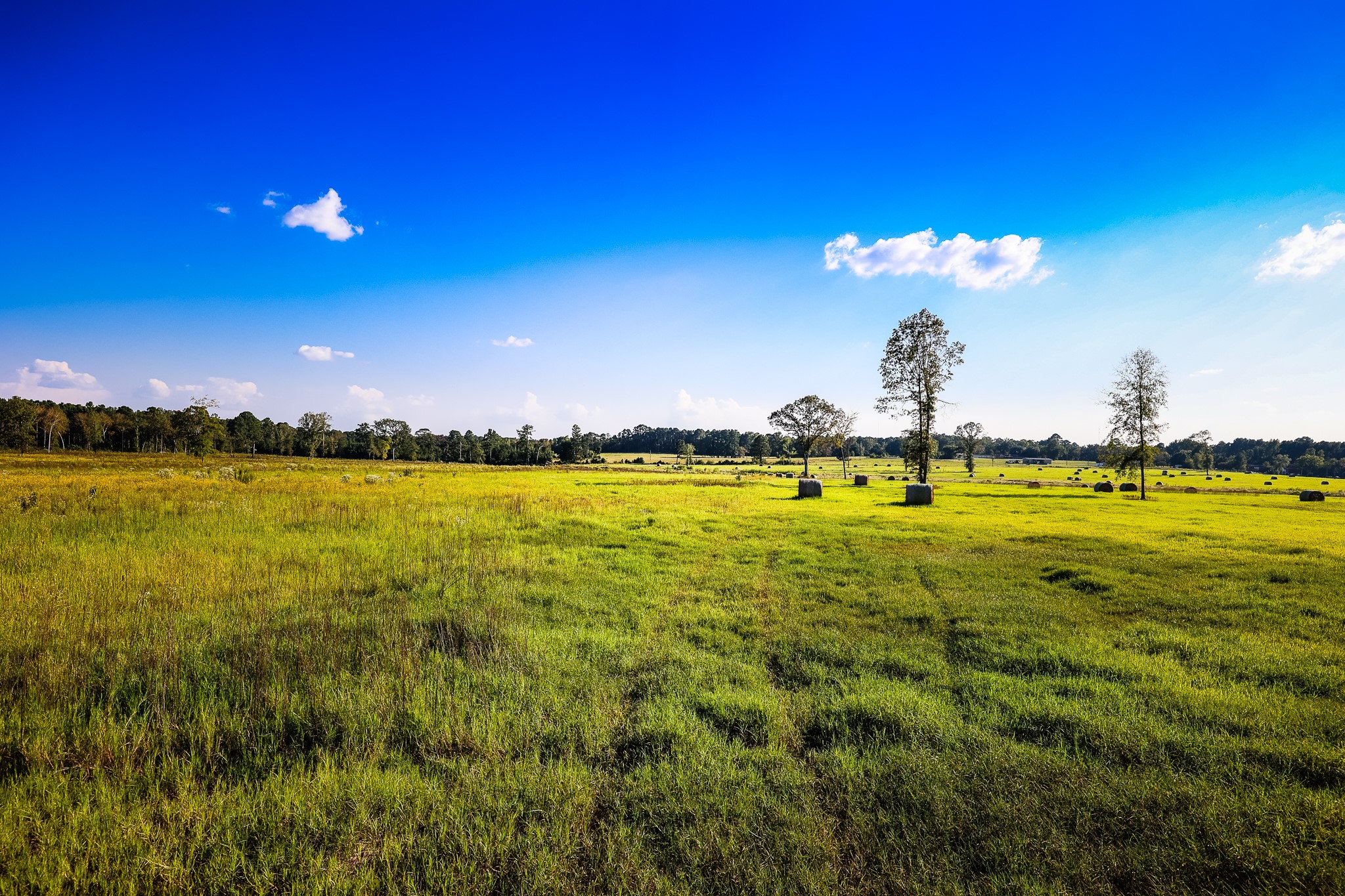 3280 N Fm 450 Hallsville TX 75650