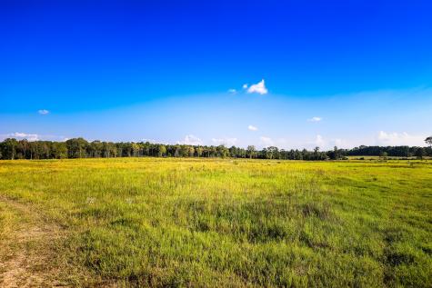 3280 N Fm 450 Hallsville TX 75650