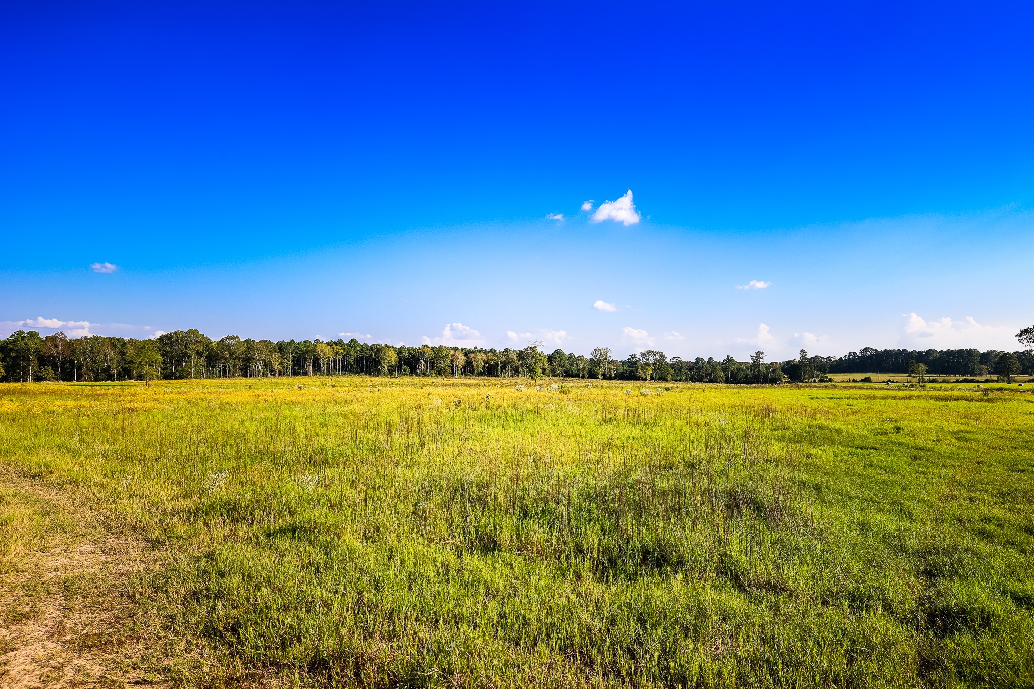 3280 N Fm 450 Hallsville TX 75650