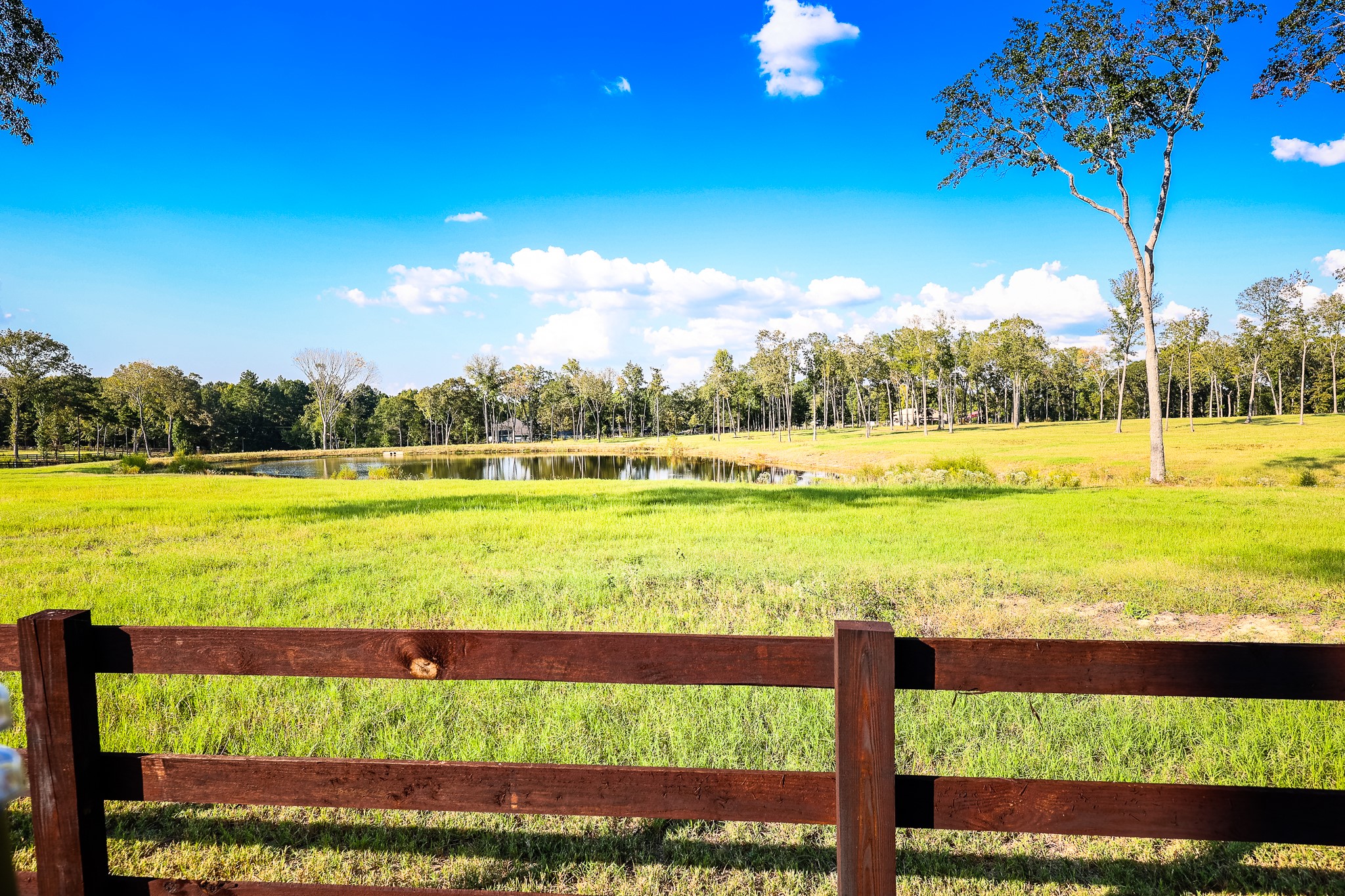 3280 N Fm 450 Hallsville TX 75650