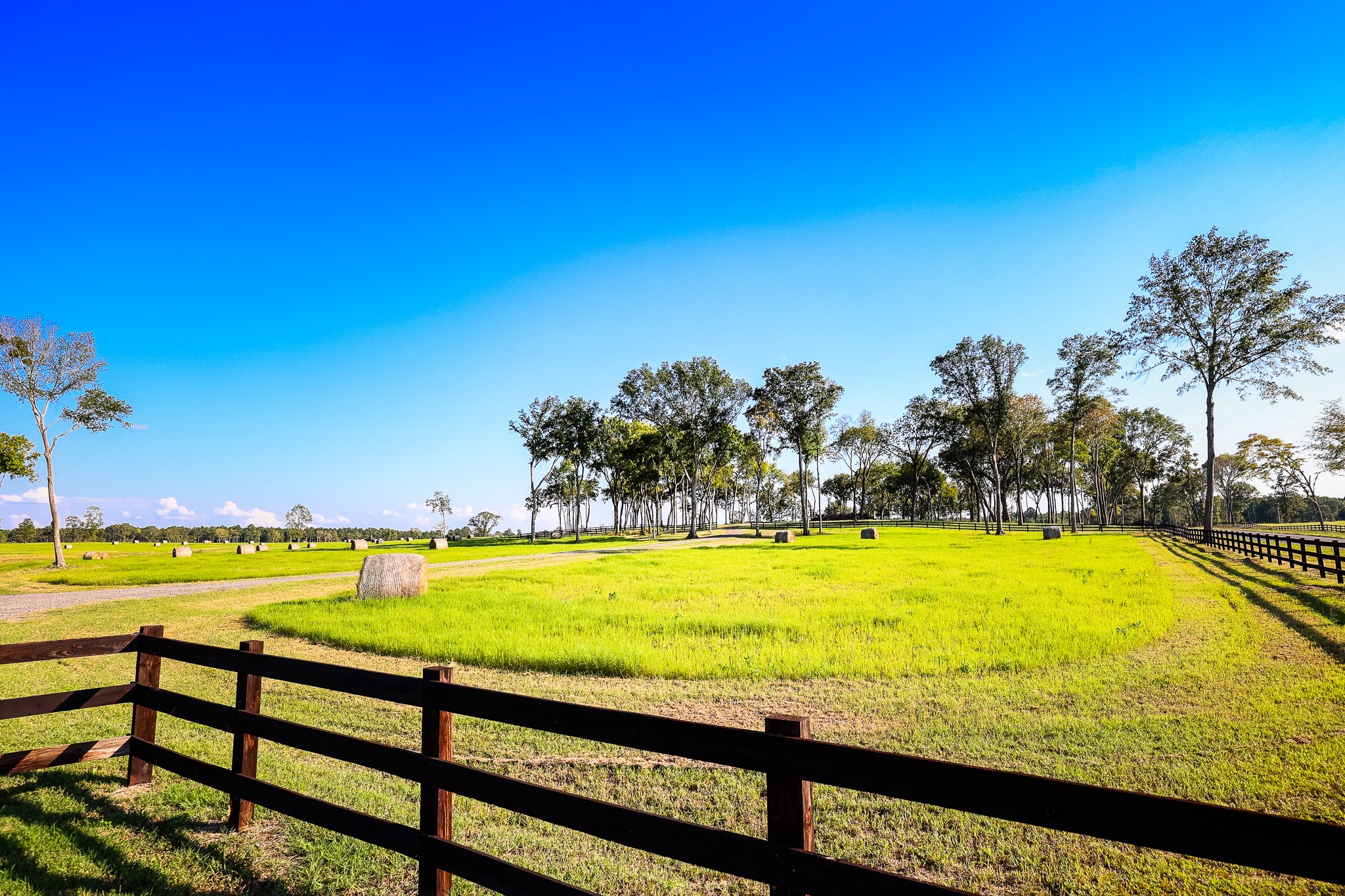 3280 N Fm 450 Hallsville TX 75650
