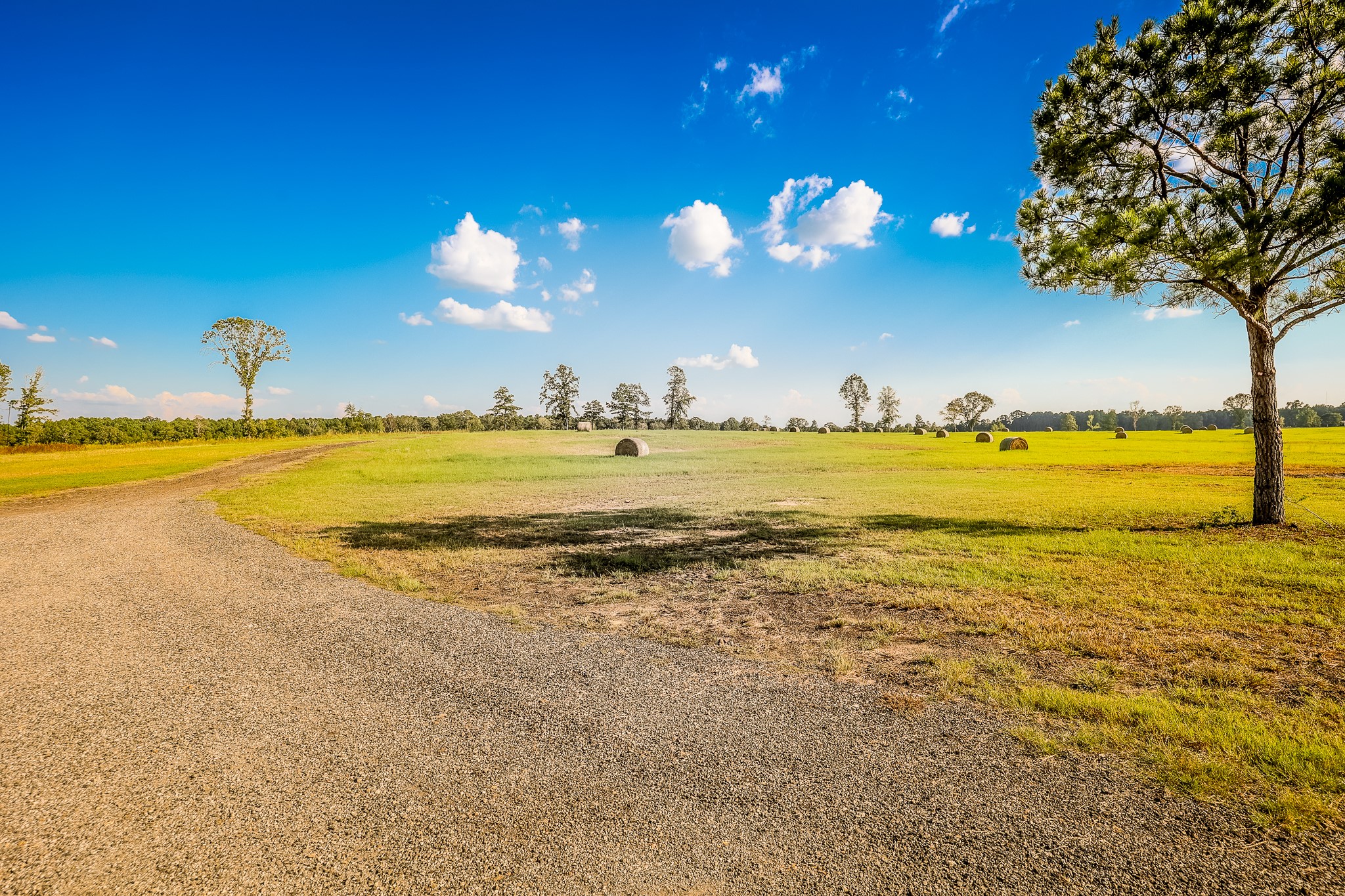 3280 N Fm 450 Hallsville TX 75650
