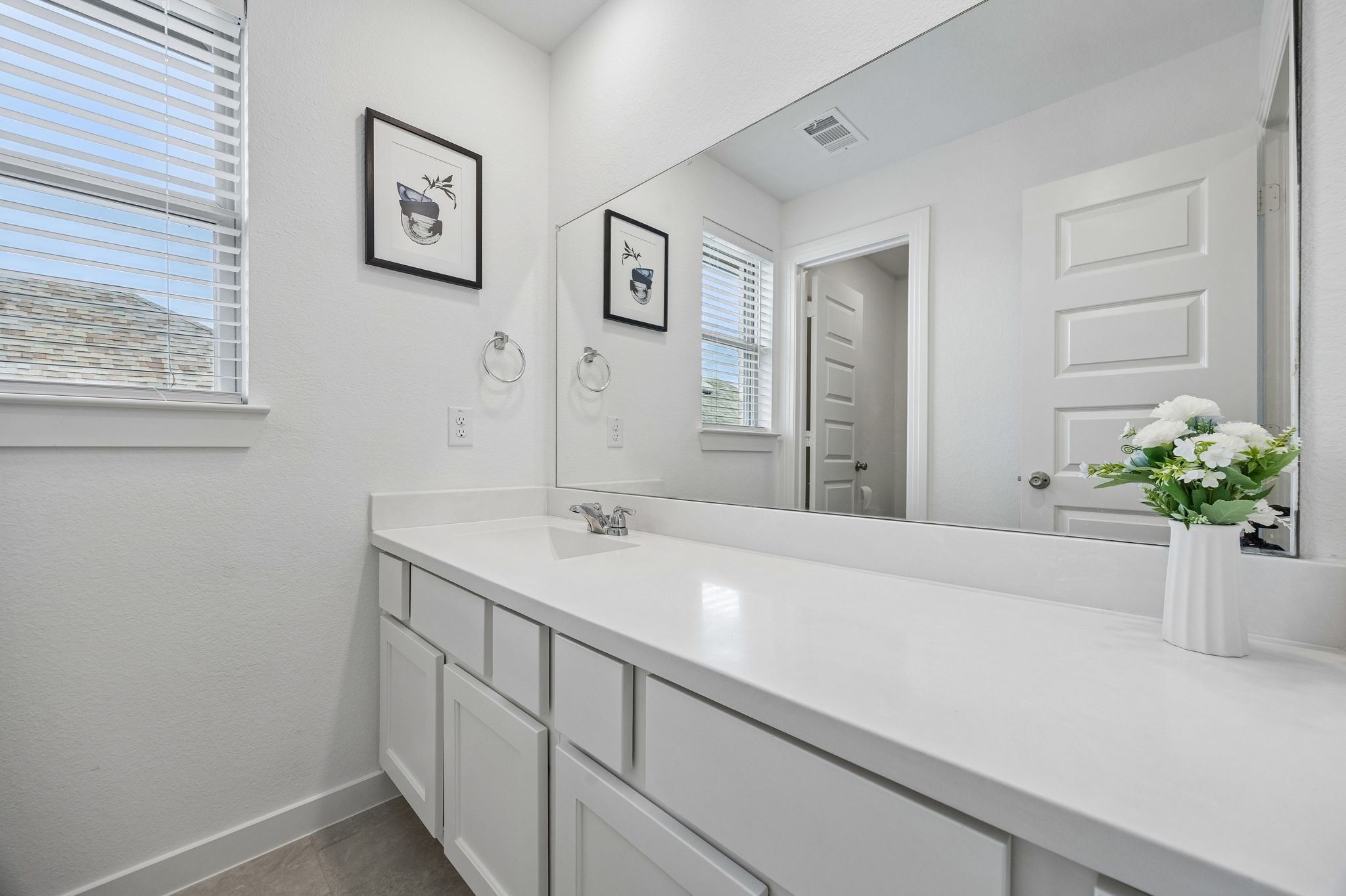 3609 Palmetto Aubrey TX 76227