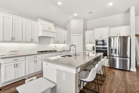 717 Lake Cove Drive Little Elm TX 75068