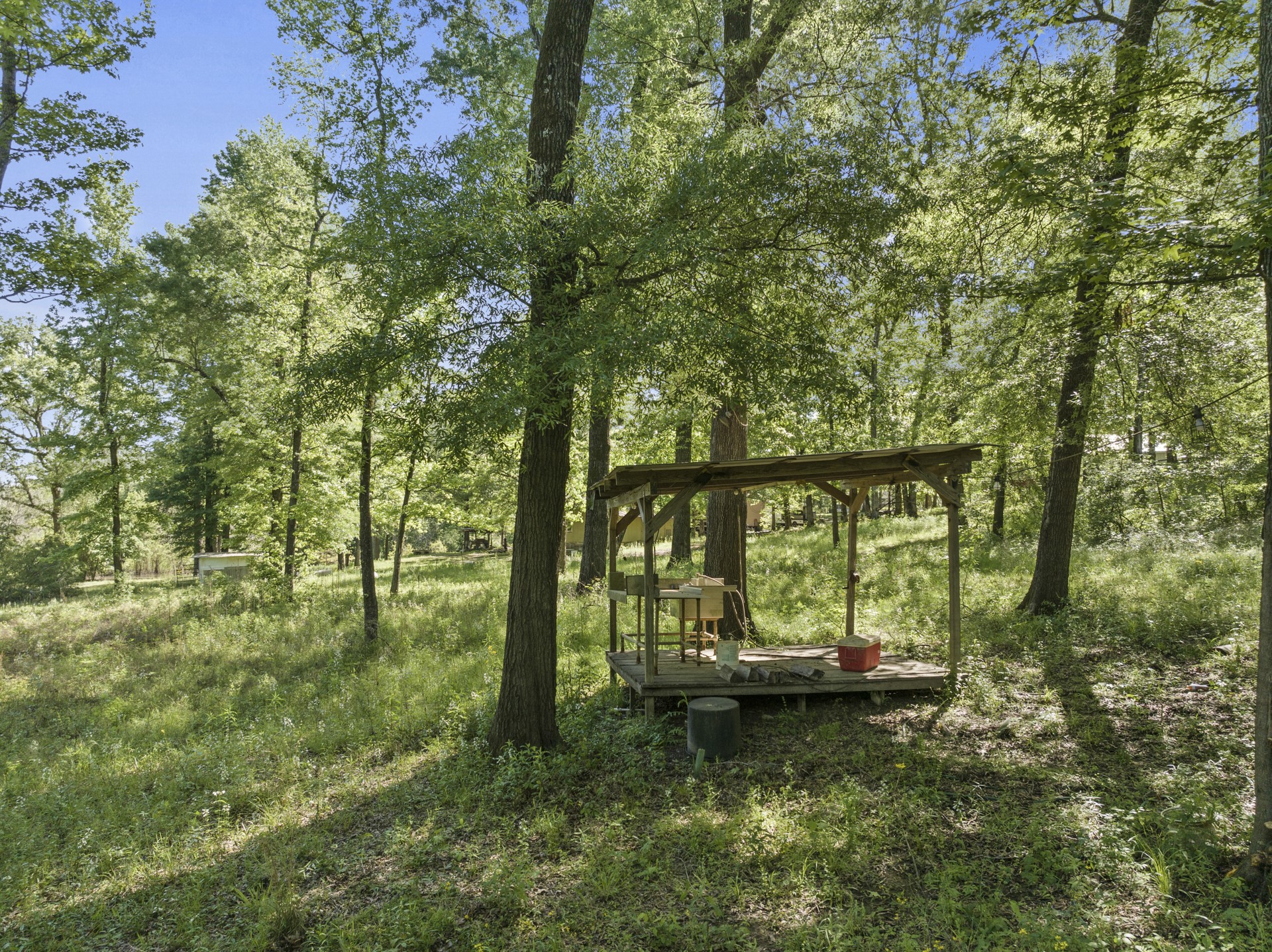 307 Fish Trap Lane Naples TX 75568