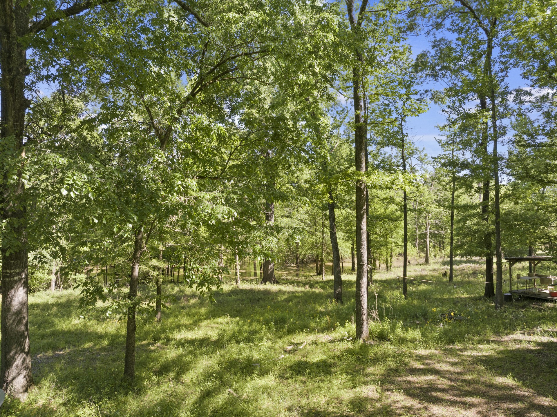 307 Fish Trap Lane Naples TX 75568