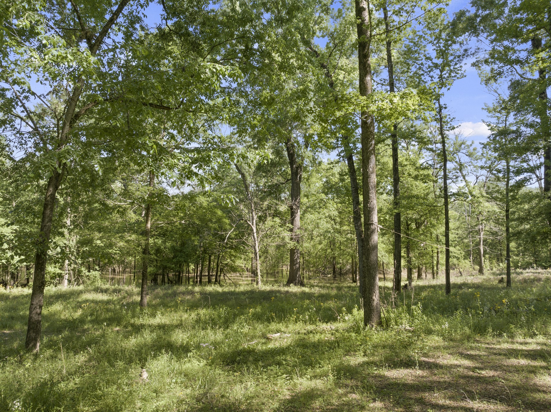 307 Fish Trap Lane Naples TX 75568