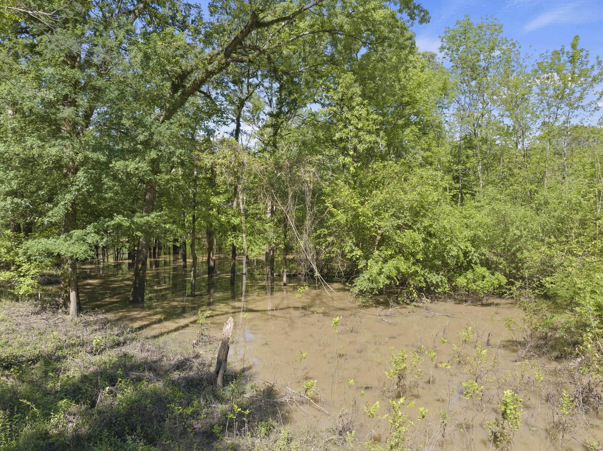 307 Fish Trap Lane Naples TX 75568
