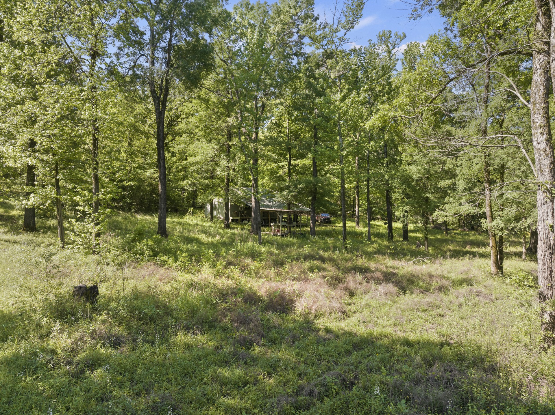 307 Fish Trap Lane Naples TX 75568