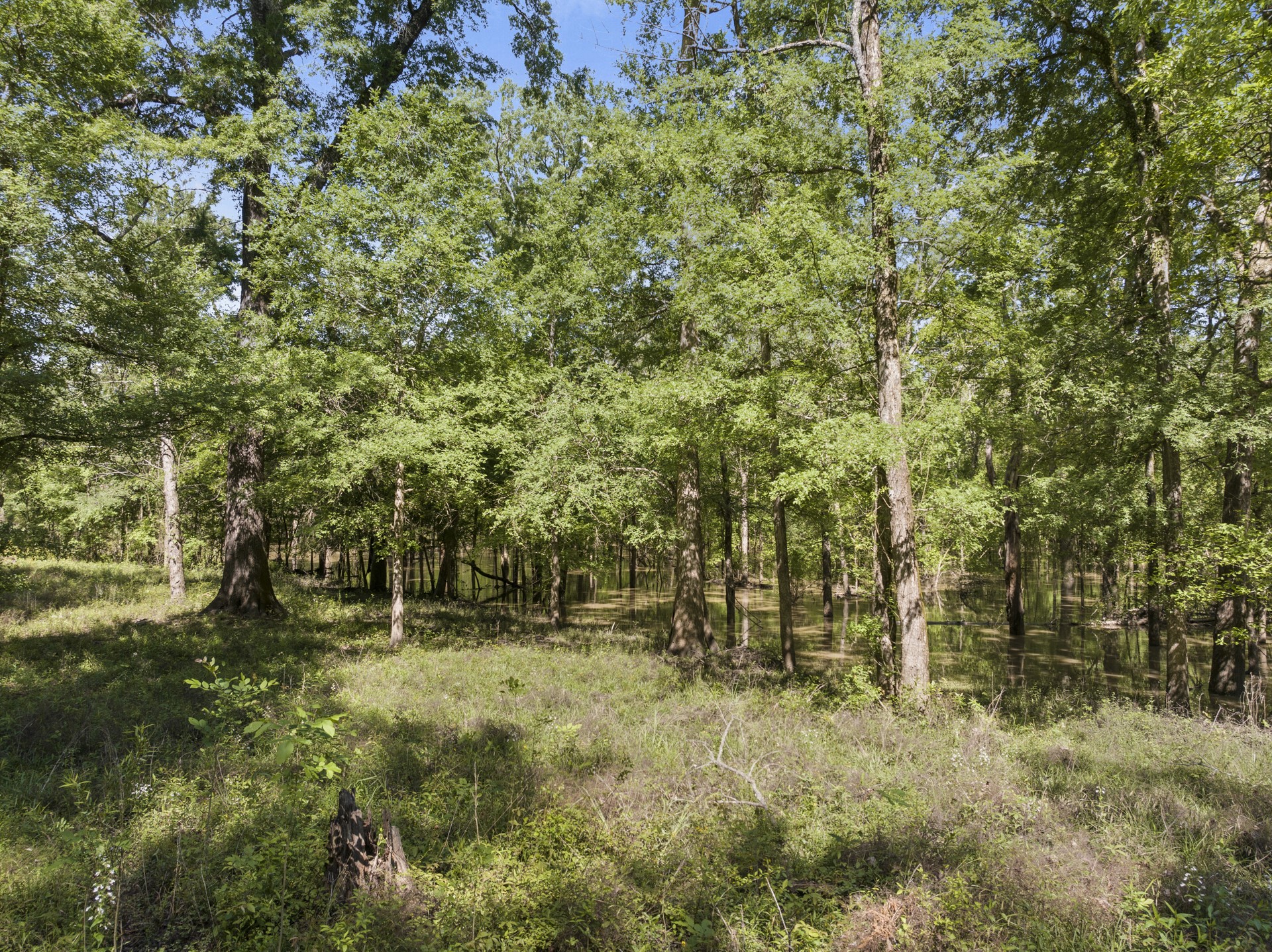 307 Fish Trap Lane Naples TX 75568