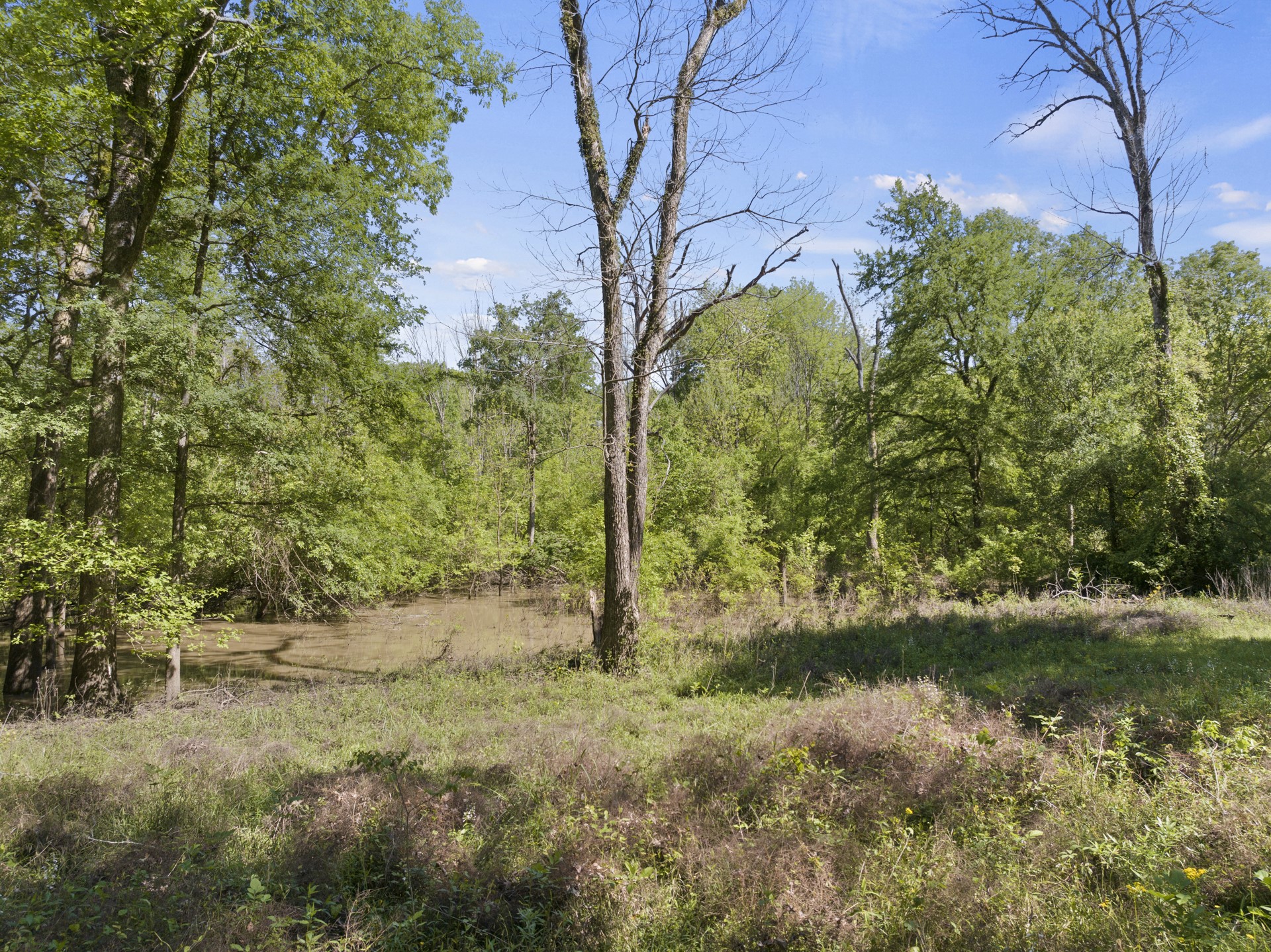 307 Fish Trap Lane Naples TX 75568