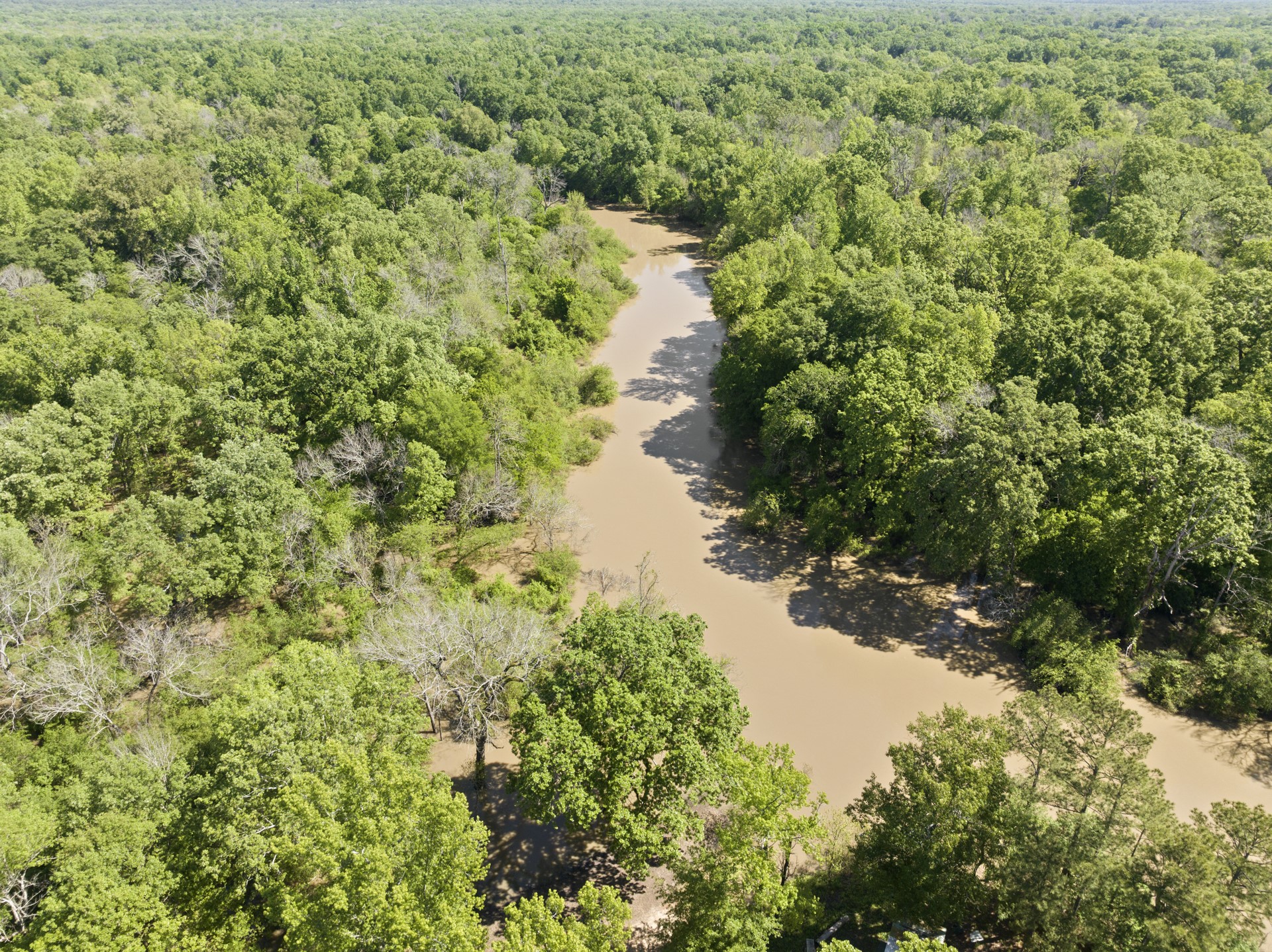 307 Fish Trap Lane Naples TX 75568