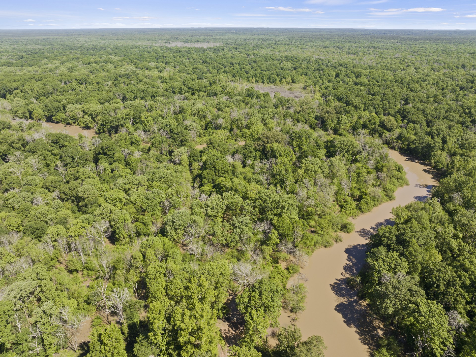 307 Fish Trap Lane Naples TX 75568